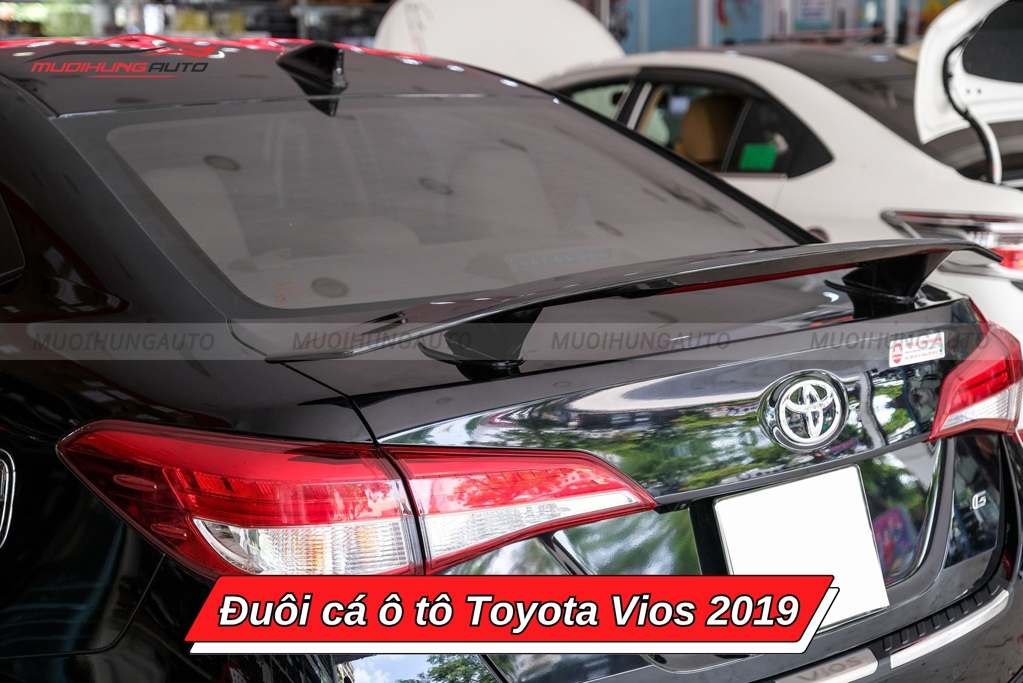 Đuôi cá xe ô tô Toyota Vios 2019