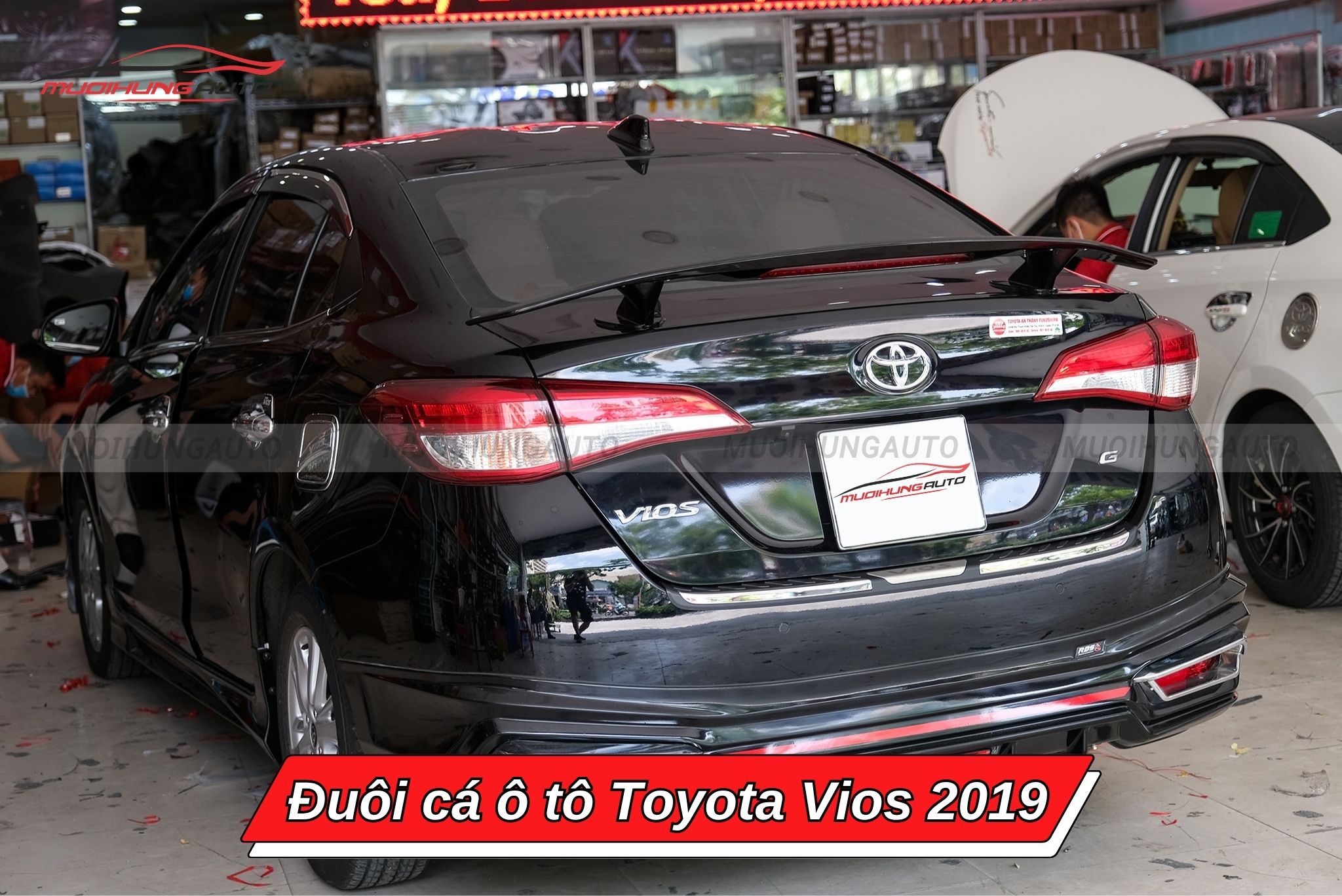 Đuôi cá xe Toyota Vios 2019