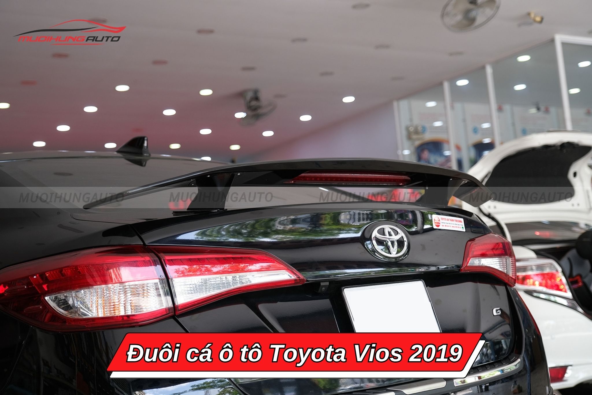 Đuôi gió Toyota Vios 2019