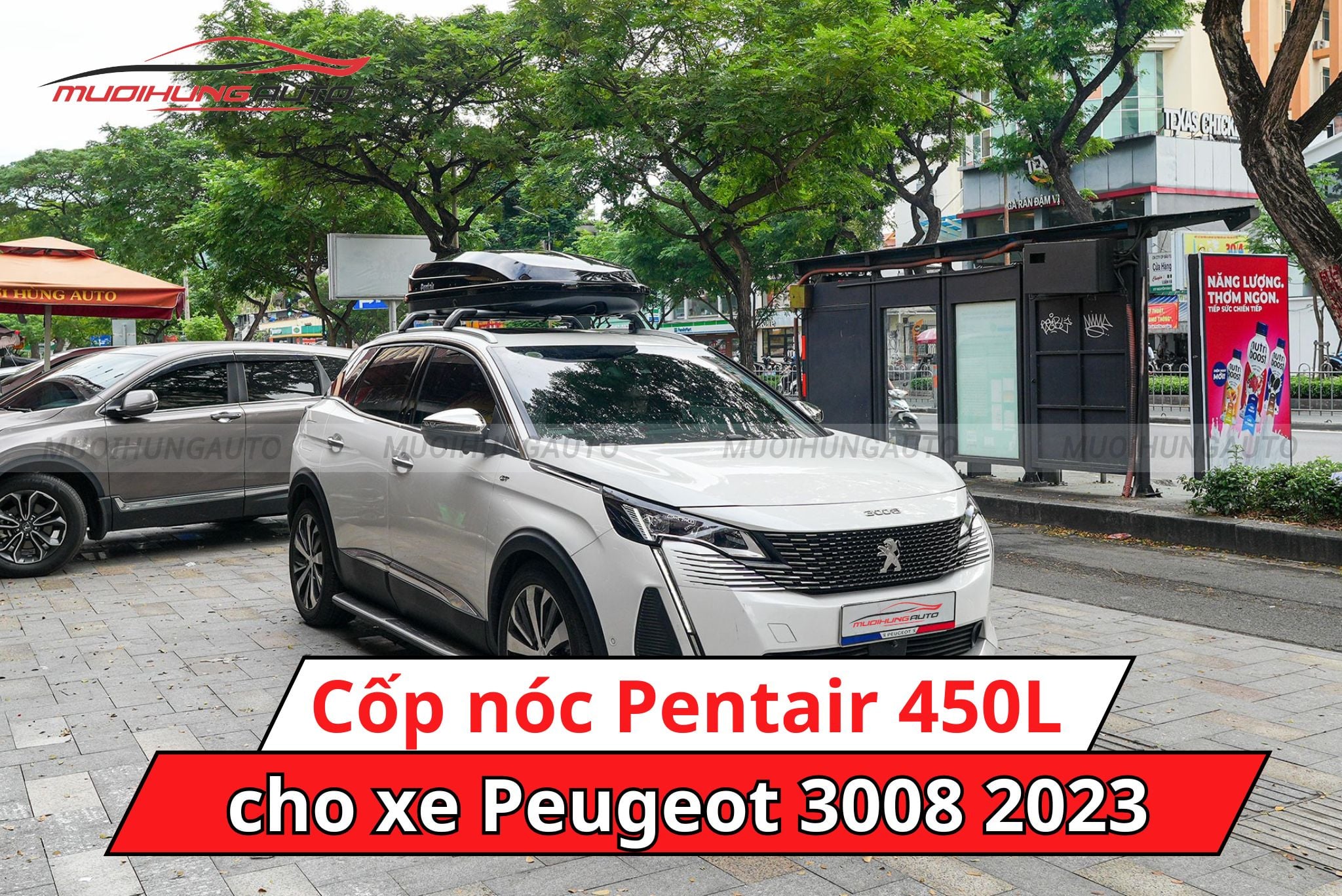 Giá nóc phi thuyền Pentair 450L cho Peugeot 3008 2023