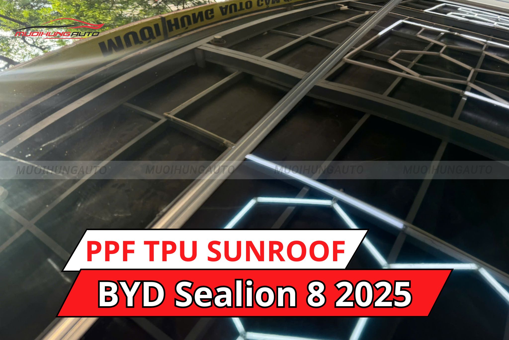 Dán phim PPF TPU SUNROOF cách nhiệt cửa sổ trời cho ô tô BYD Sealion 8 2025