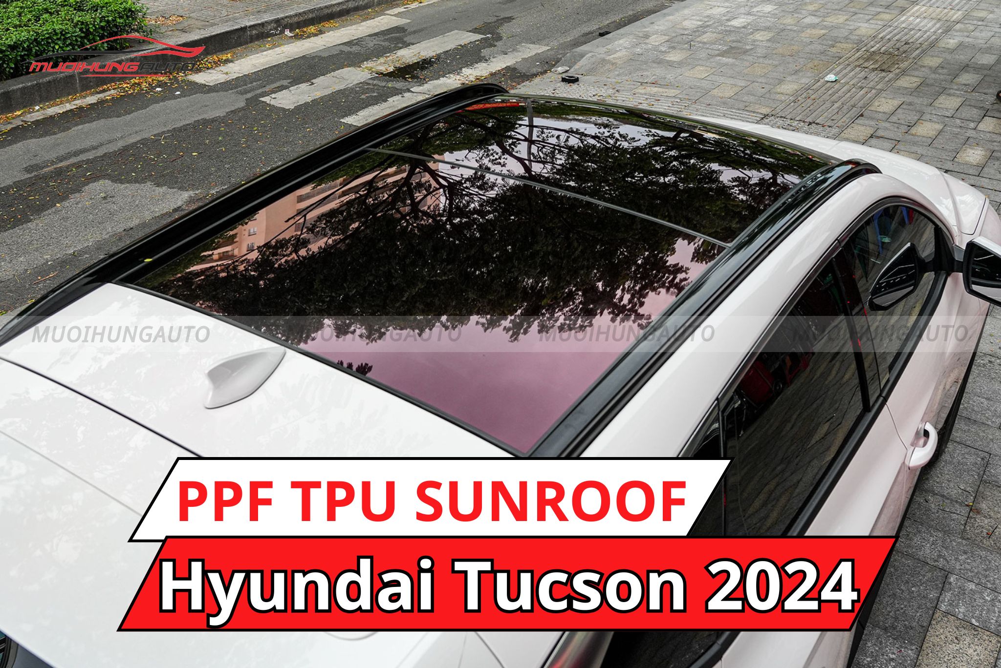 Hyundai Tucson 2024 dán phim PPF TPU SUNROOF cách nhiệt cửa sổ trời