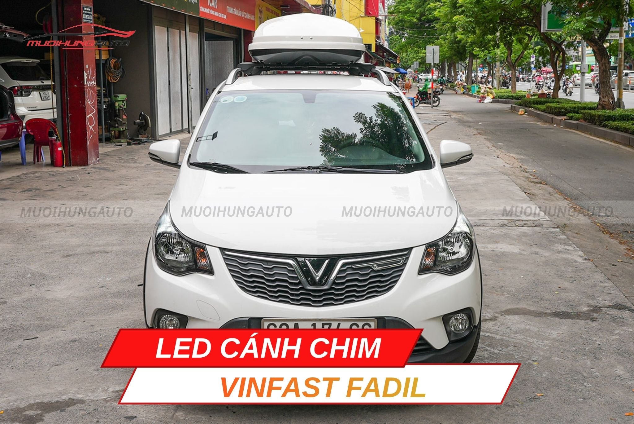 LED cánh chim Vinfast Fadil