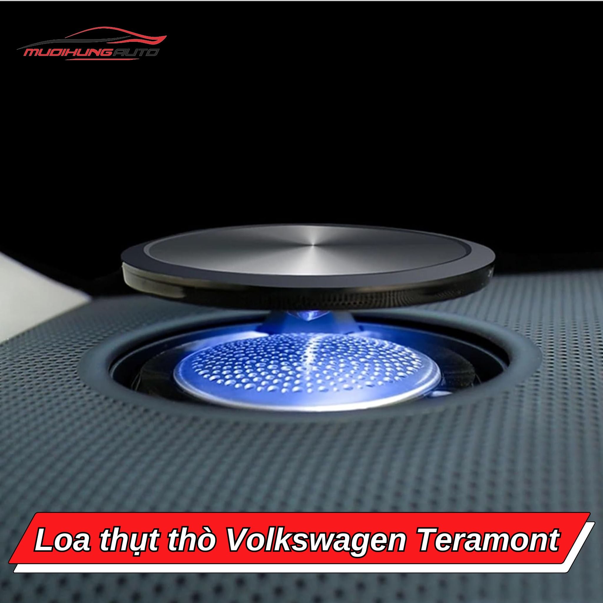 Loa ẩn hiện Volkswagen Teramont