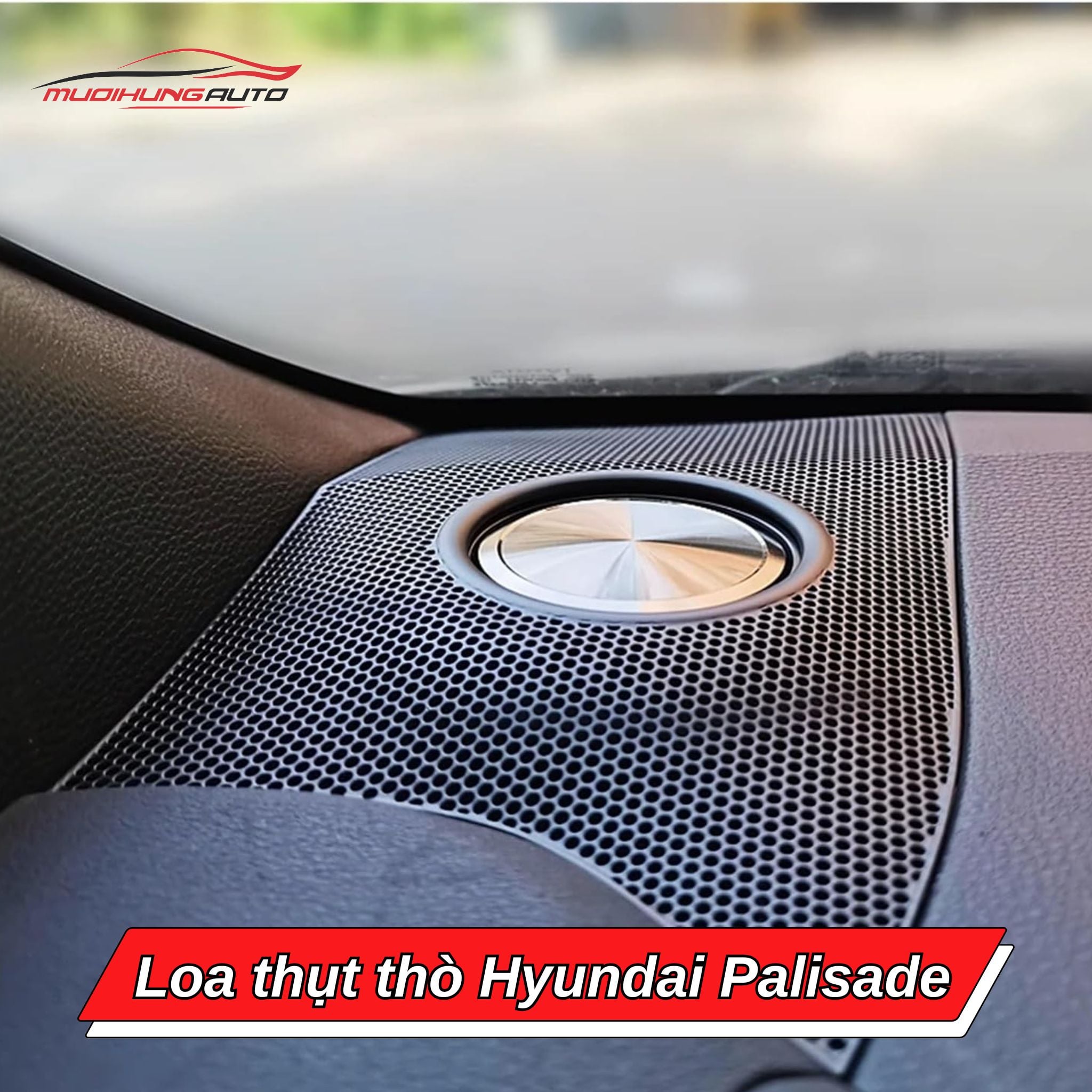 Loa nâng hạ tự động Hyundai Palisade