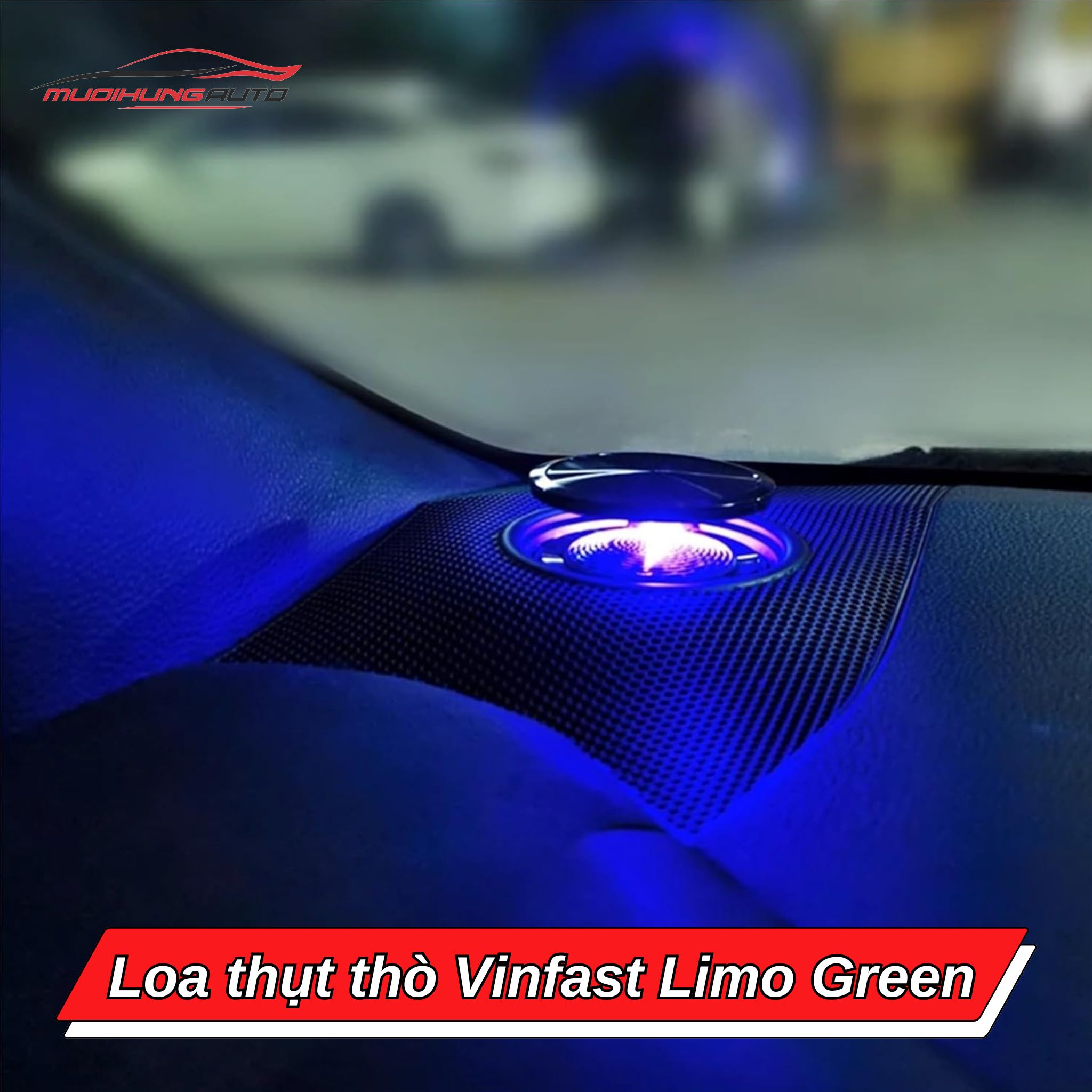 Loa thò thụt ô tô Vinfast Limo Green