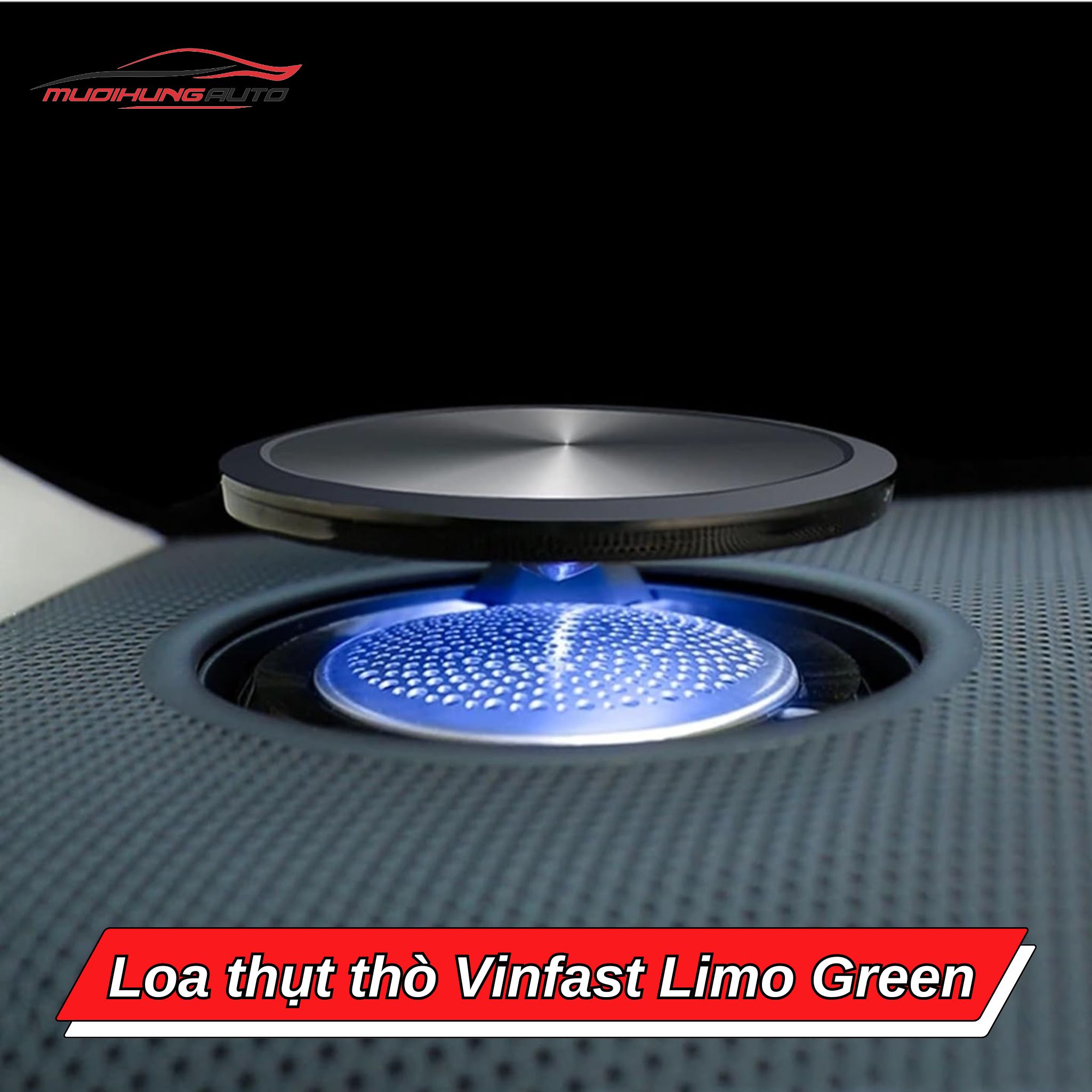 Loa thụt thò ô tô Vinfast Limo Green
