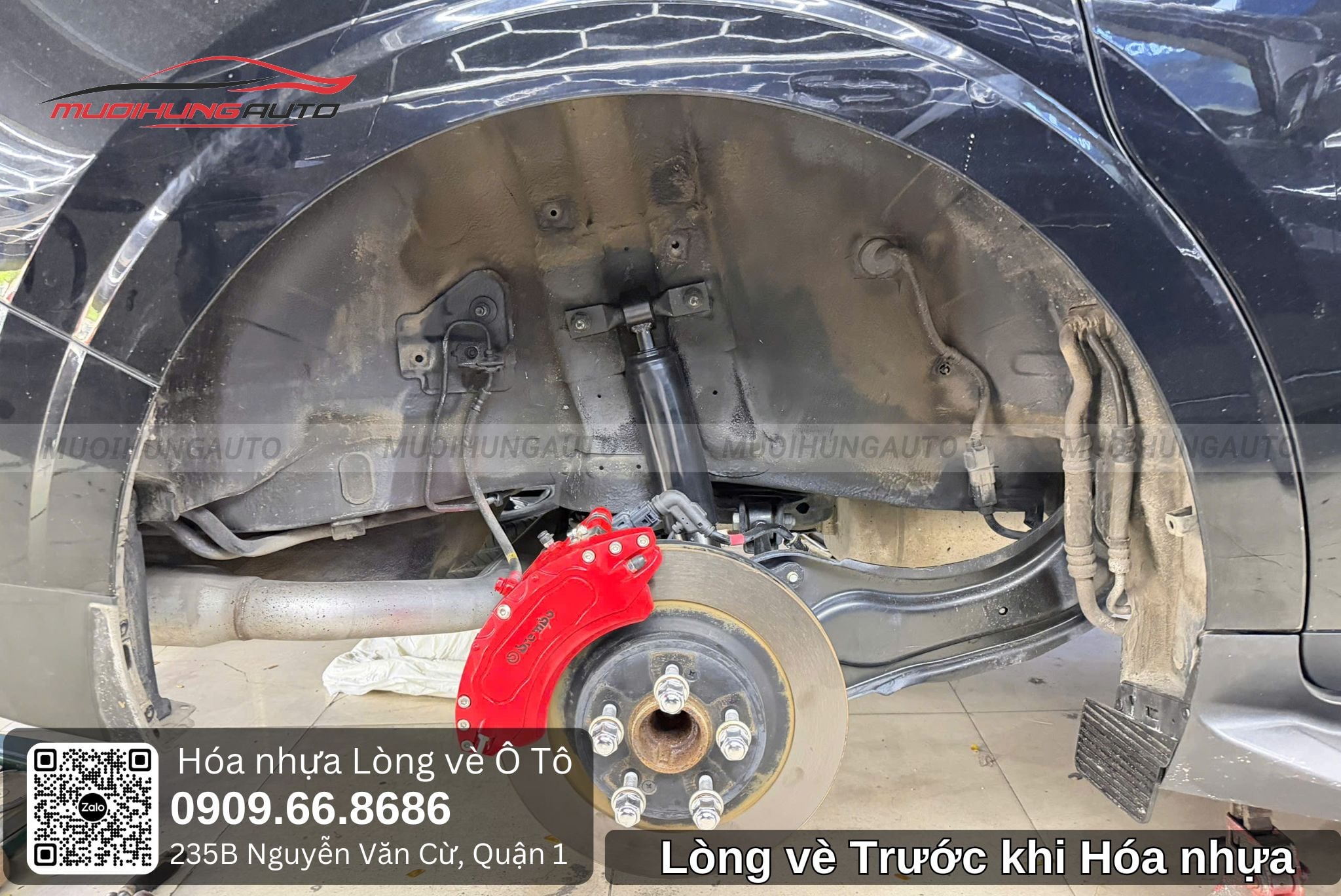 Lòng vè trước khi hóa nhựa