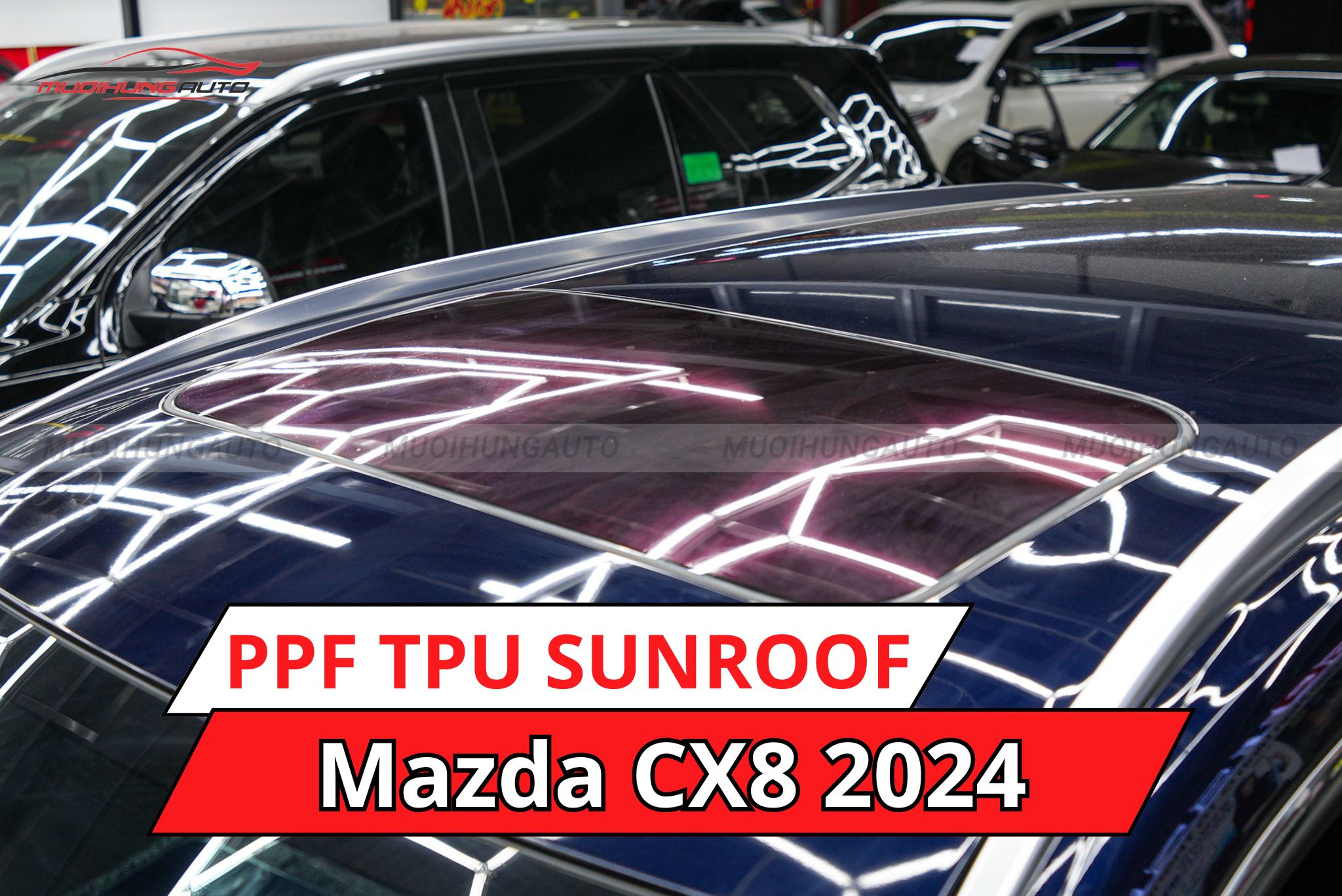 Mazda CX8 2024 dán phim PPF TPU SUNROOF cách nhiệt cửa sổ trời