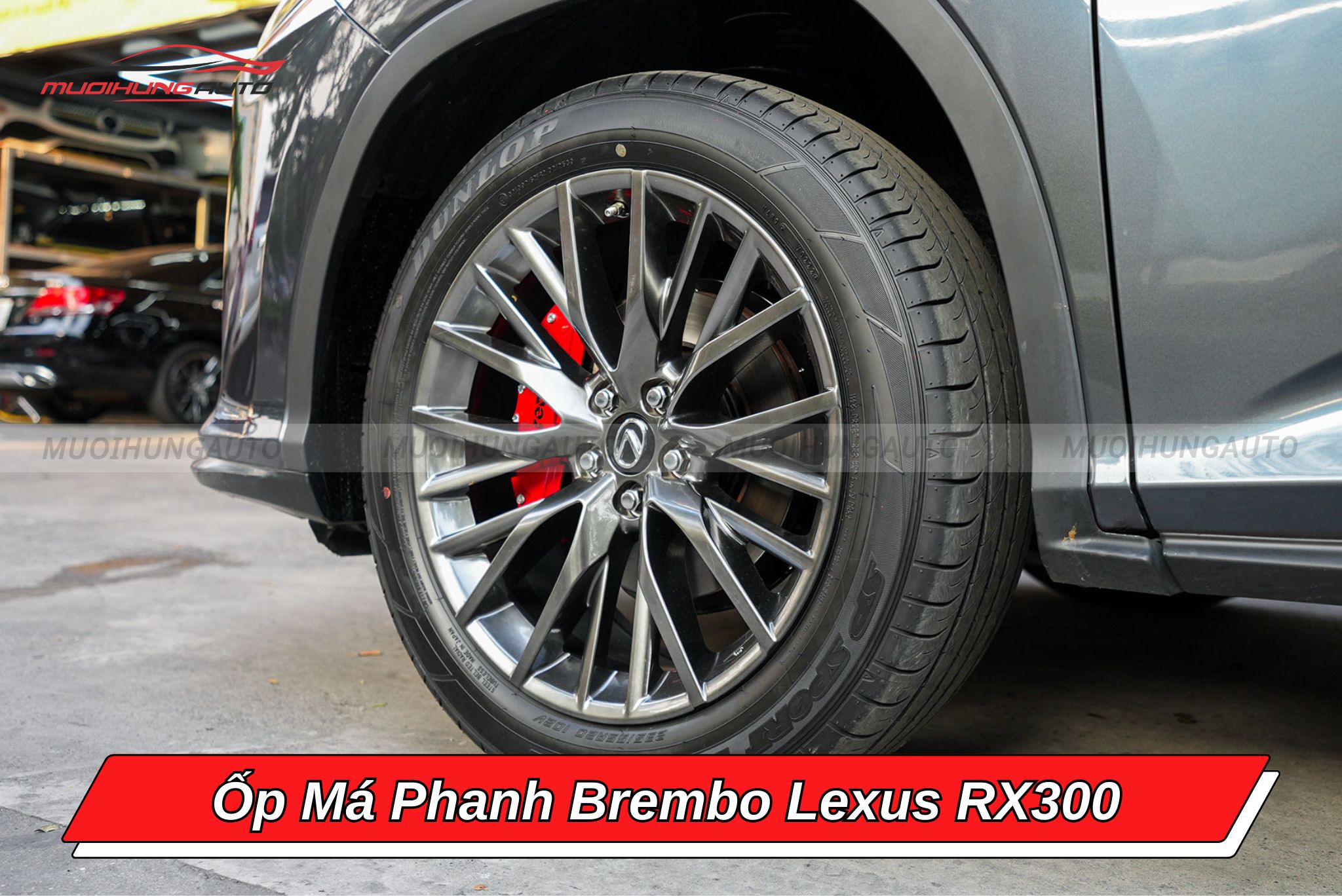 Ốp chân phanh Brembo Lexus RX300
