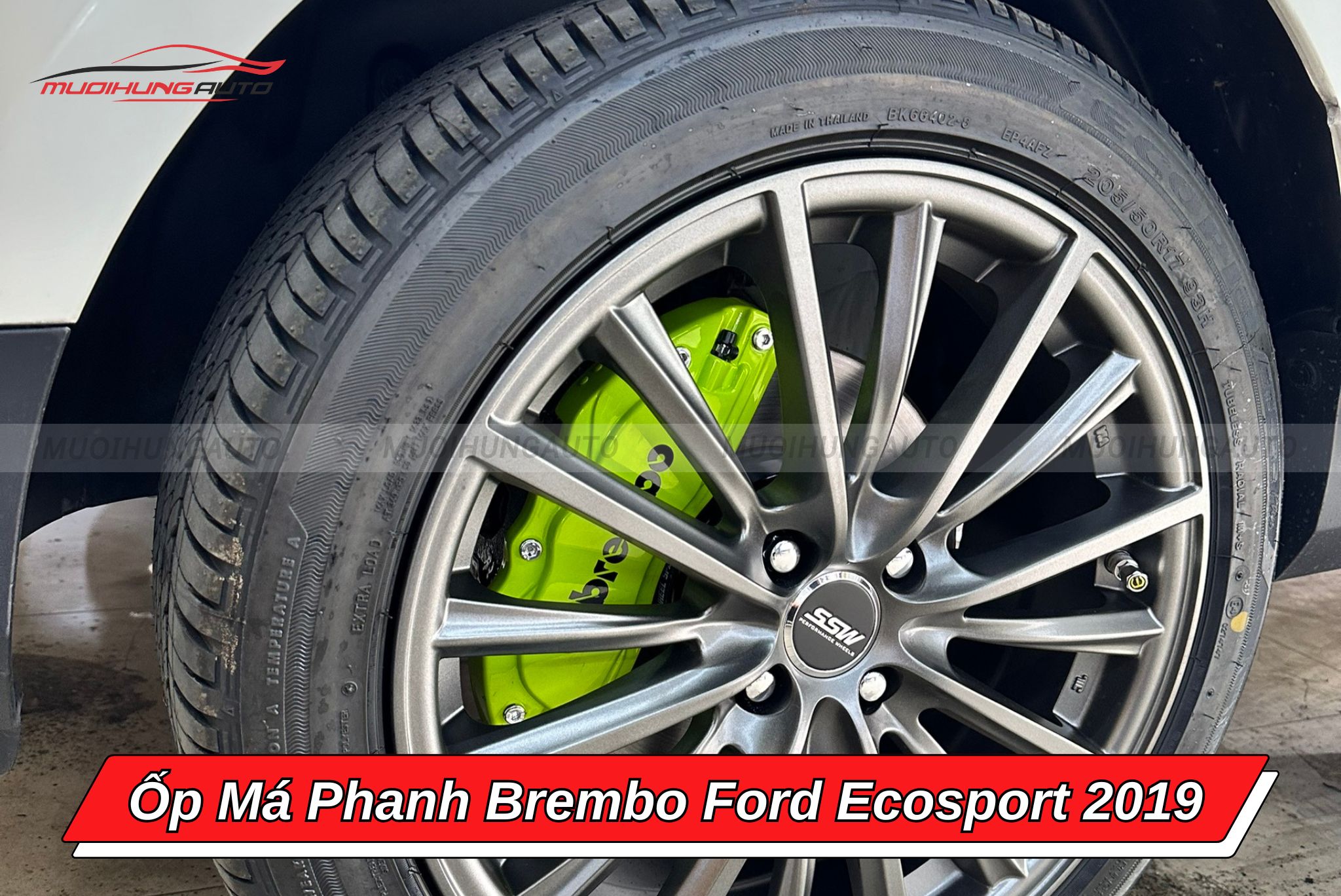 Ốp heo dầu Brembo Ford Ecosport 2019