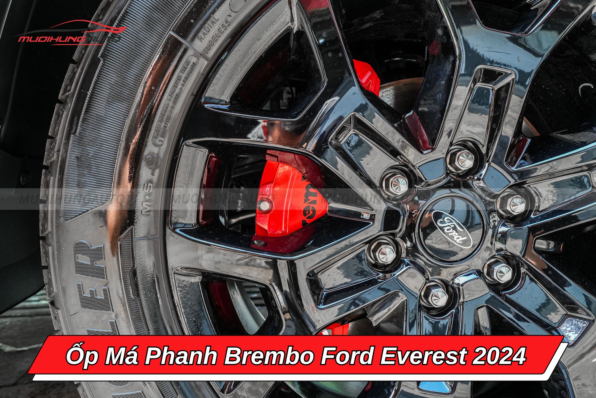 Ốp heo dầu Brembo Ford Everest 2024