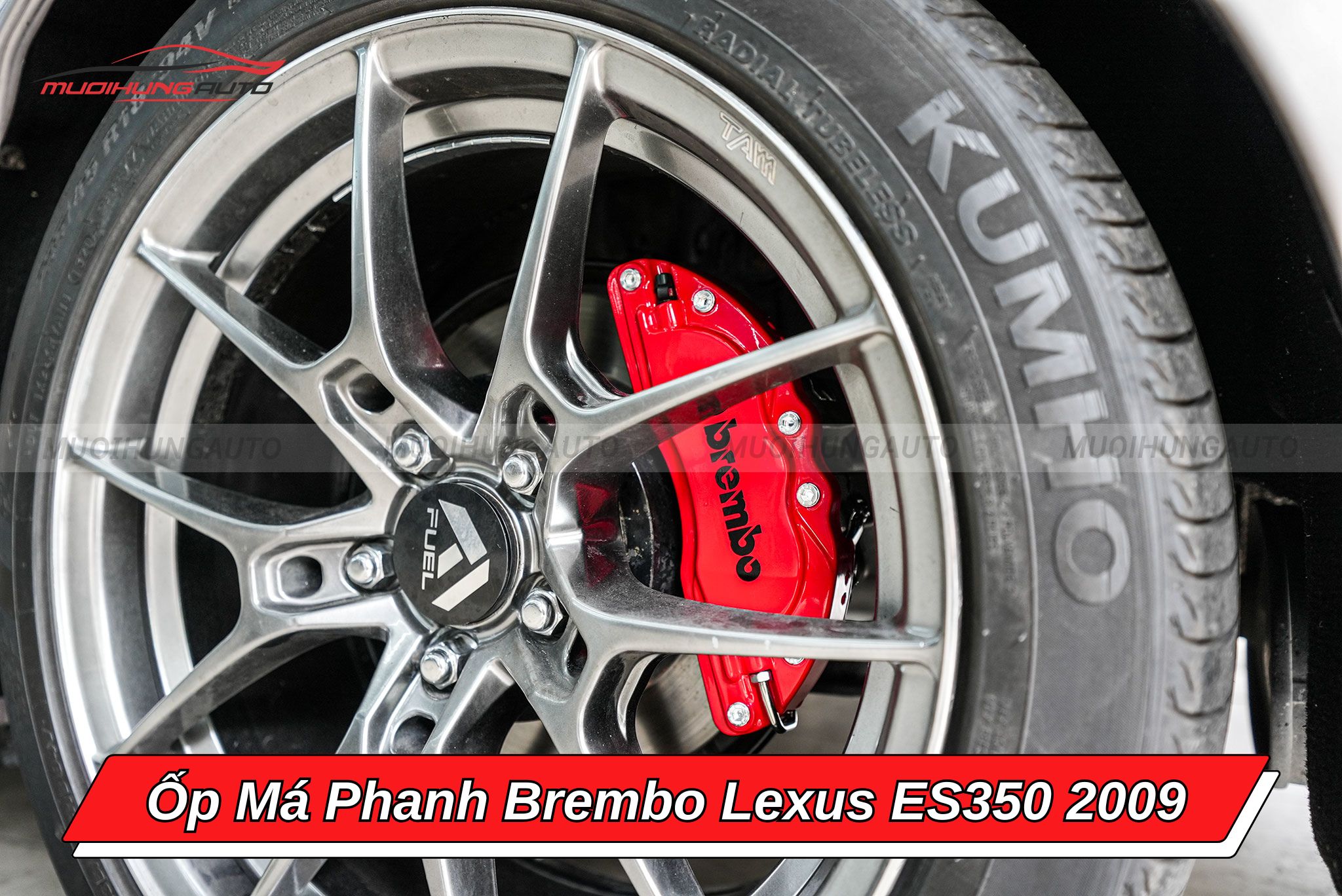 Ốp heo dầu Brembo Lexus ES350 2009