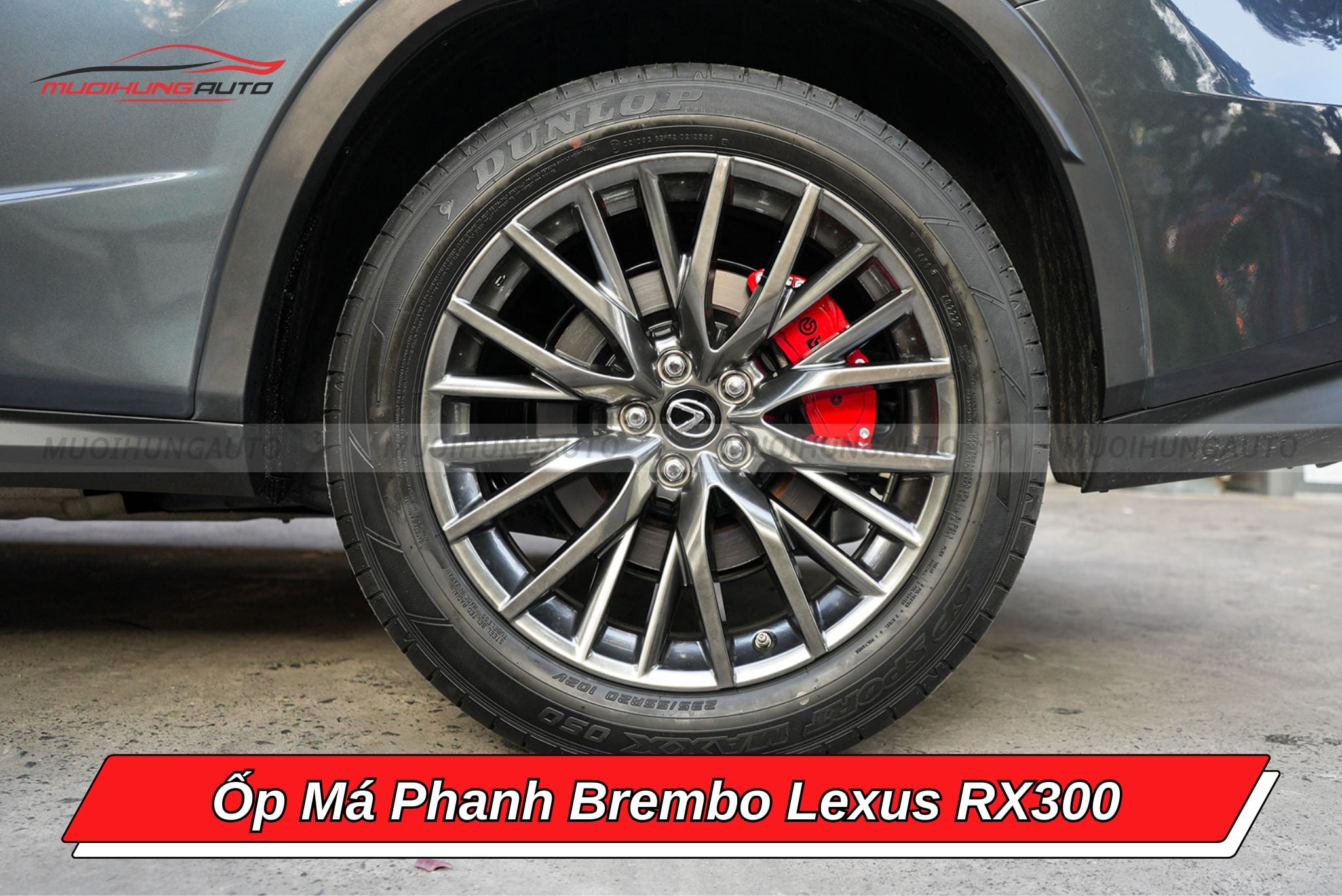 Ốp heo dầu Brembo ô tô Lexus RX300