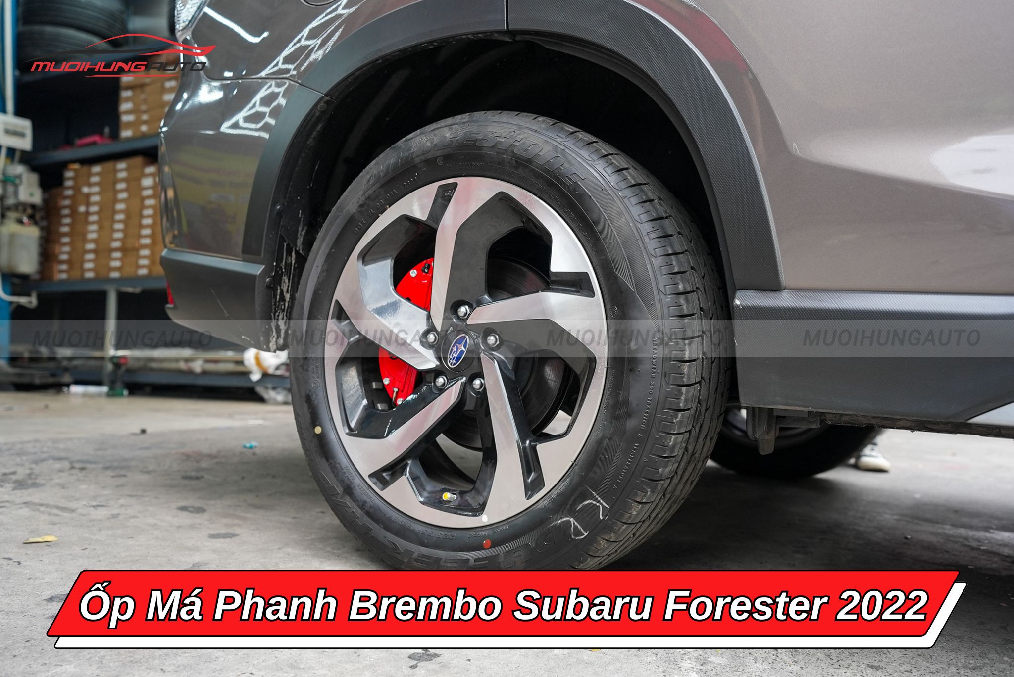 Ốp heo dầu Brembo Subaru Forester 2022