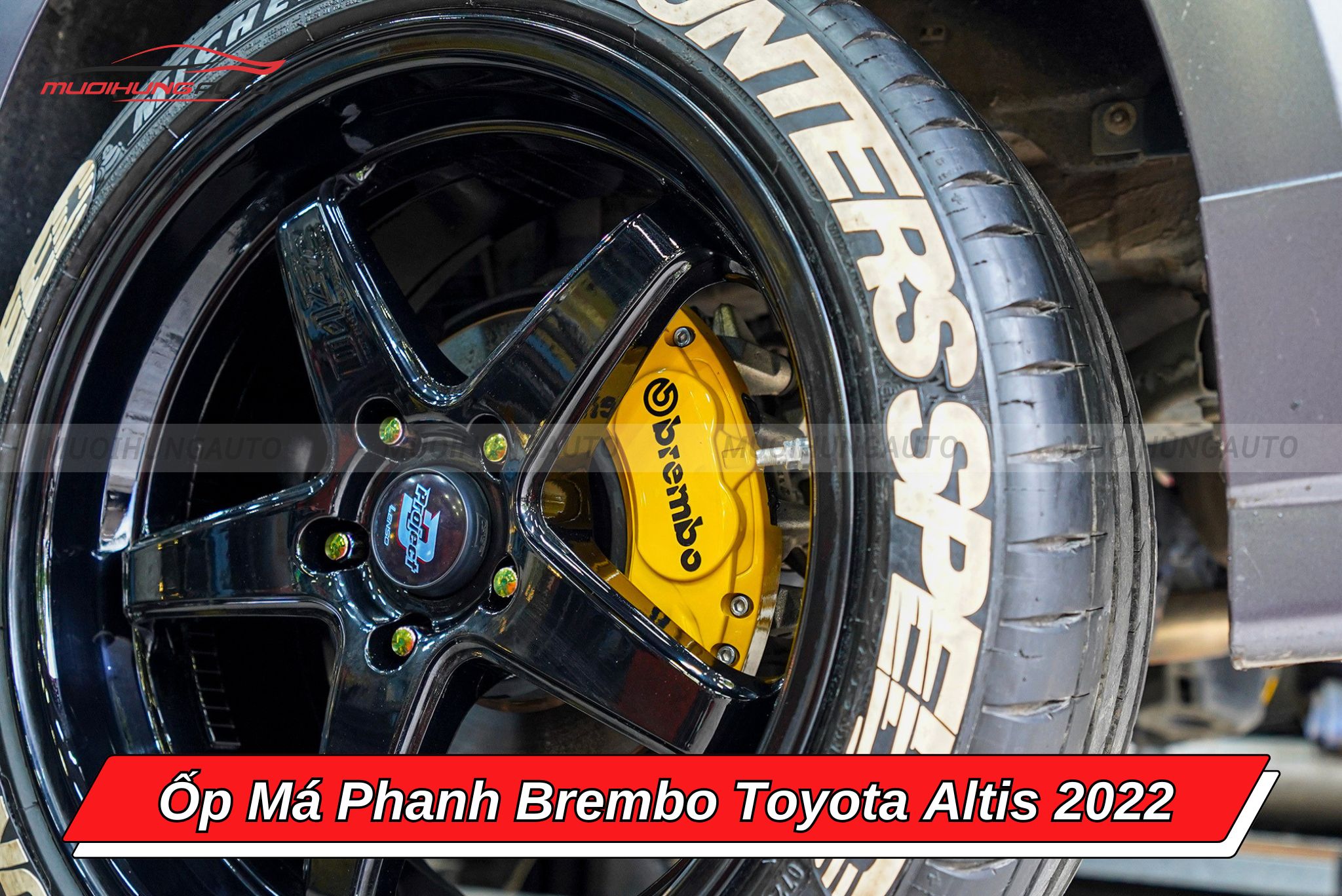 Ốp heo dầu Brembo Toyota Altis 2022
