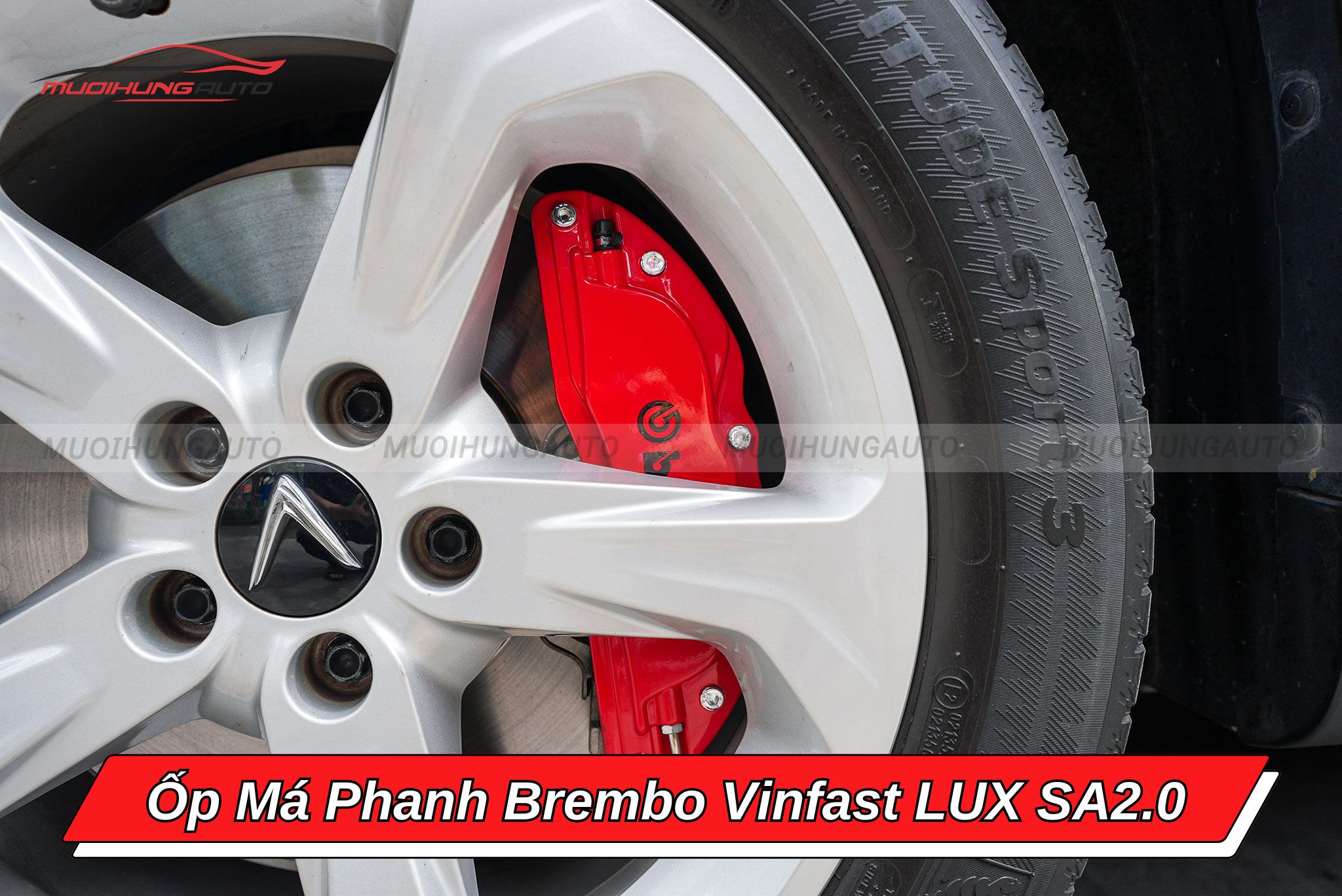 Ốp heo dầu Brembo Vinfast LUX SA2.0
