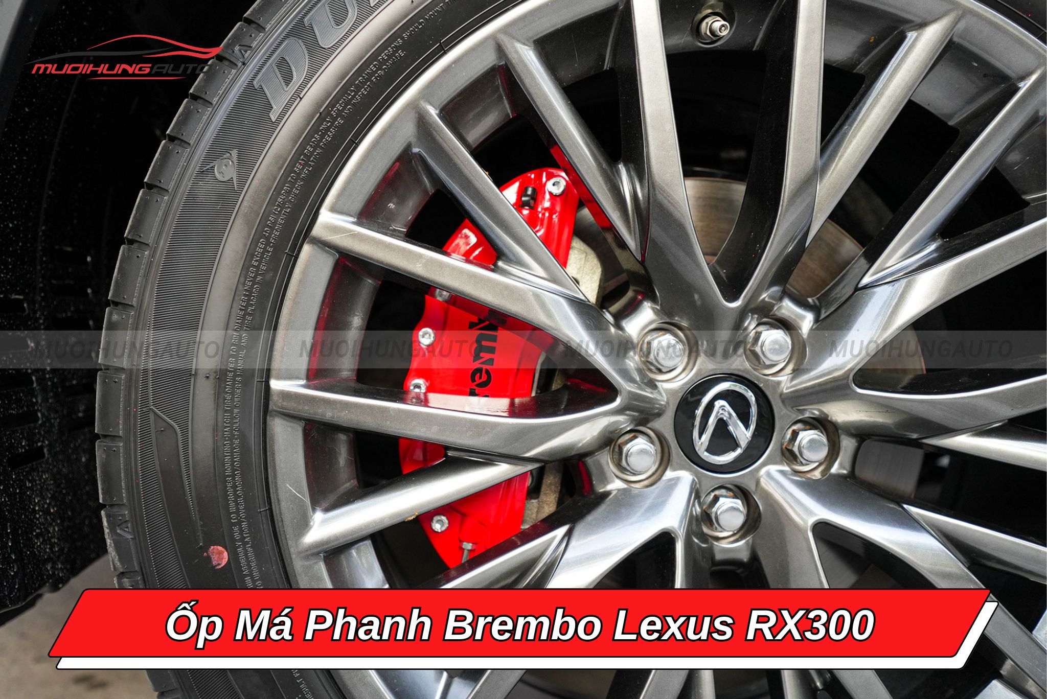 Ốp heo dầu Brembo xe Lexus RX300