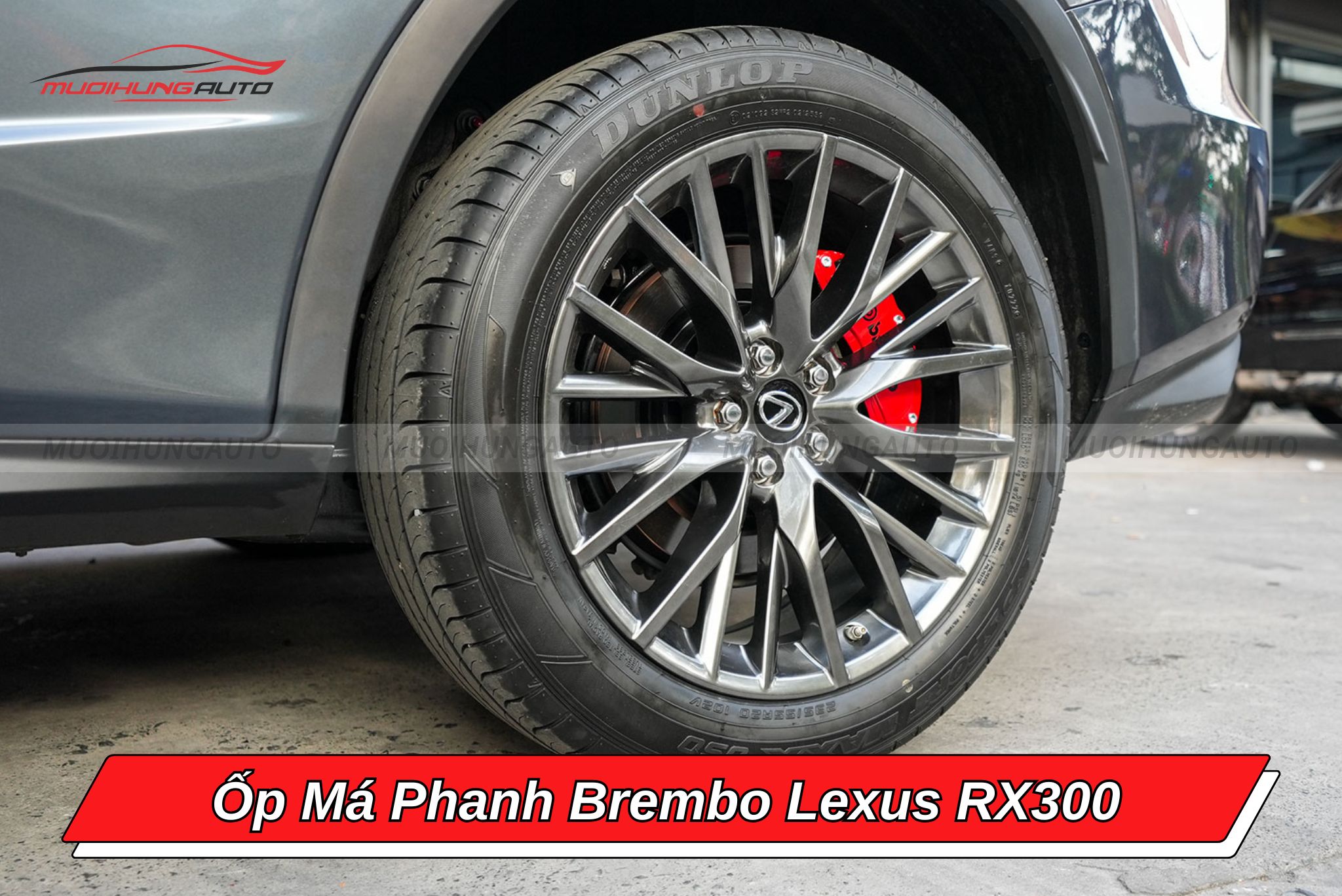 Ốp má phanh Brembo cho ô tô Lexus RX300