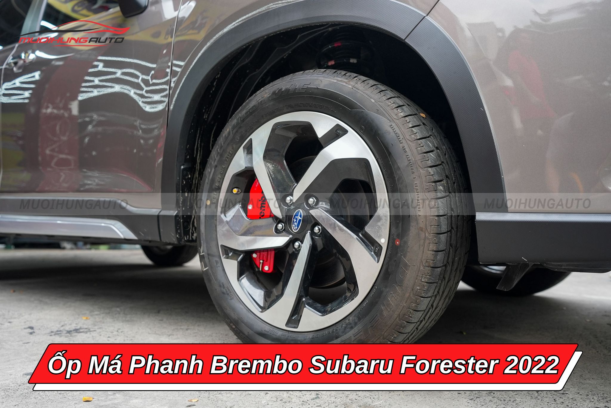 Ốp má phanh Brembo cho ô tô Subaru Forester 2022