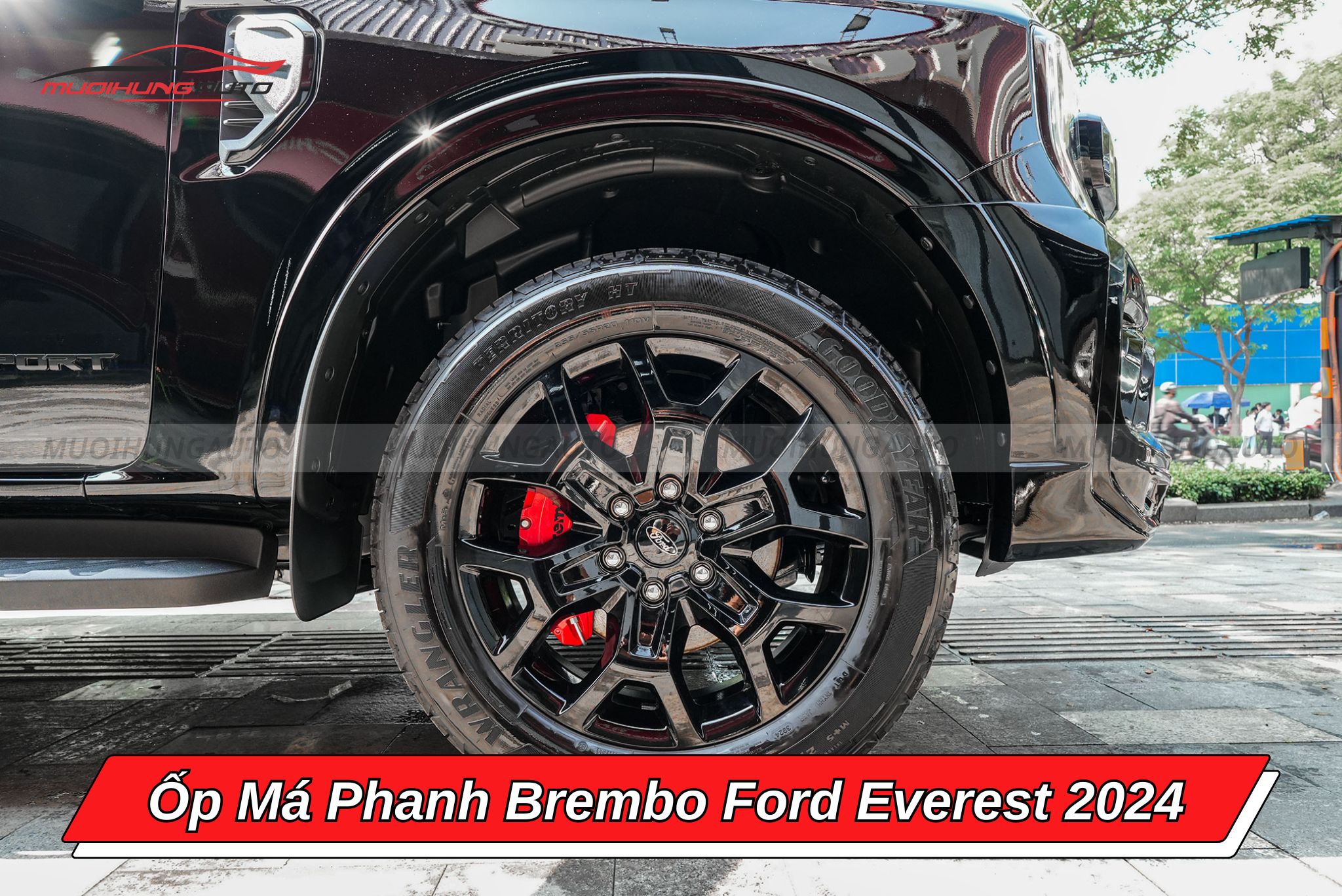 Ốp má phanh Brembo Ford Everest 2024