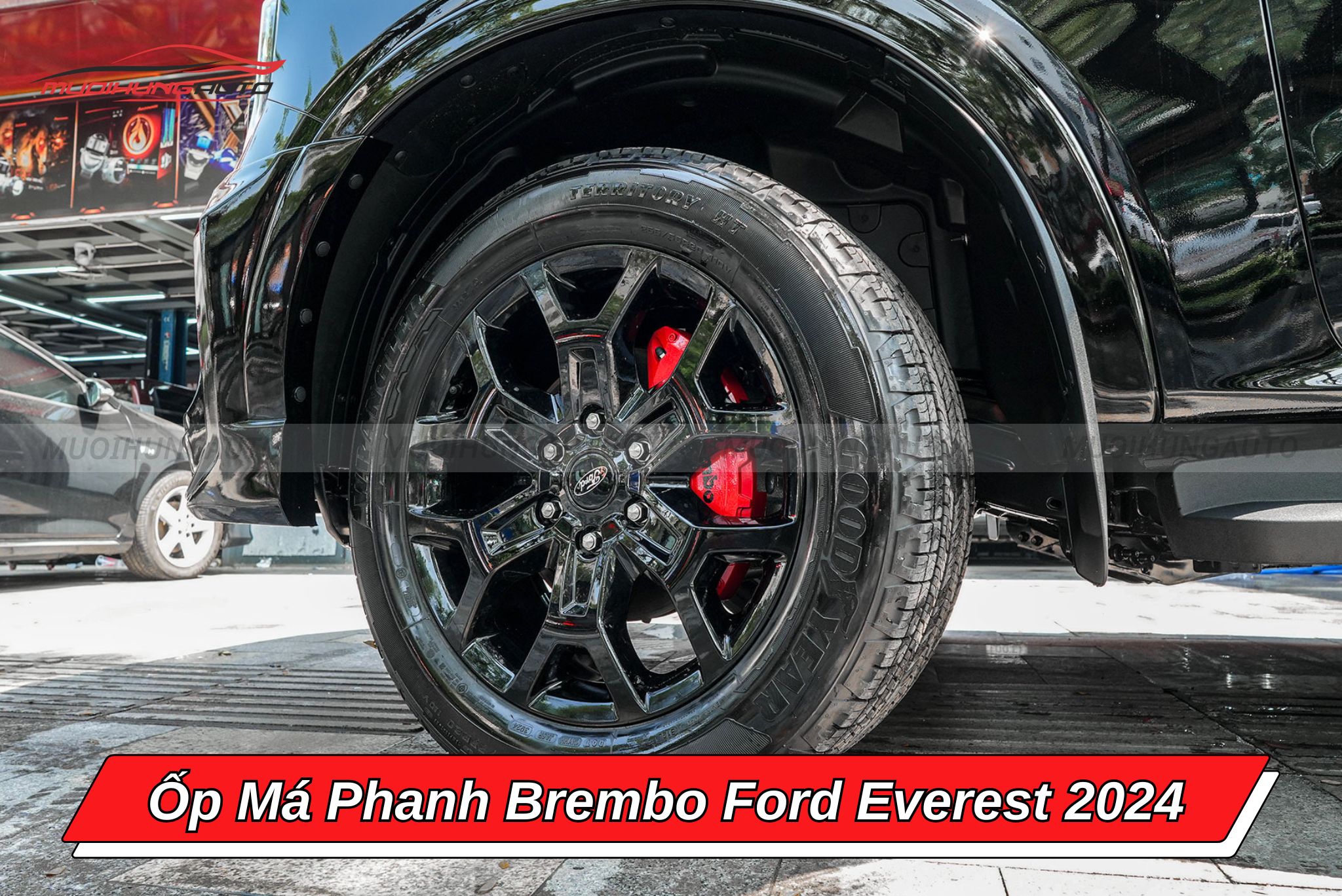 Ốp má phanh Brembo ô tô Ford Everest 2024
