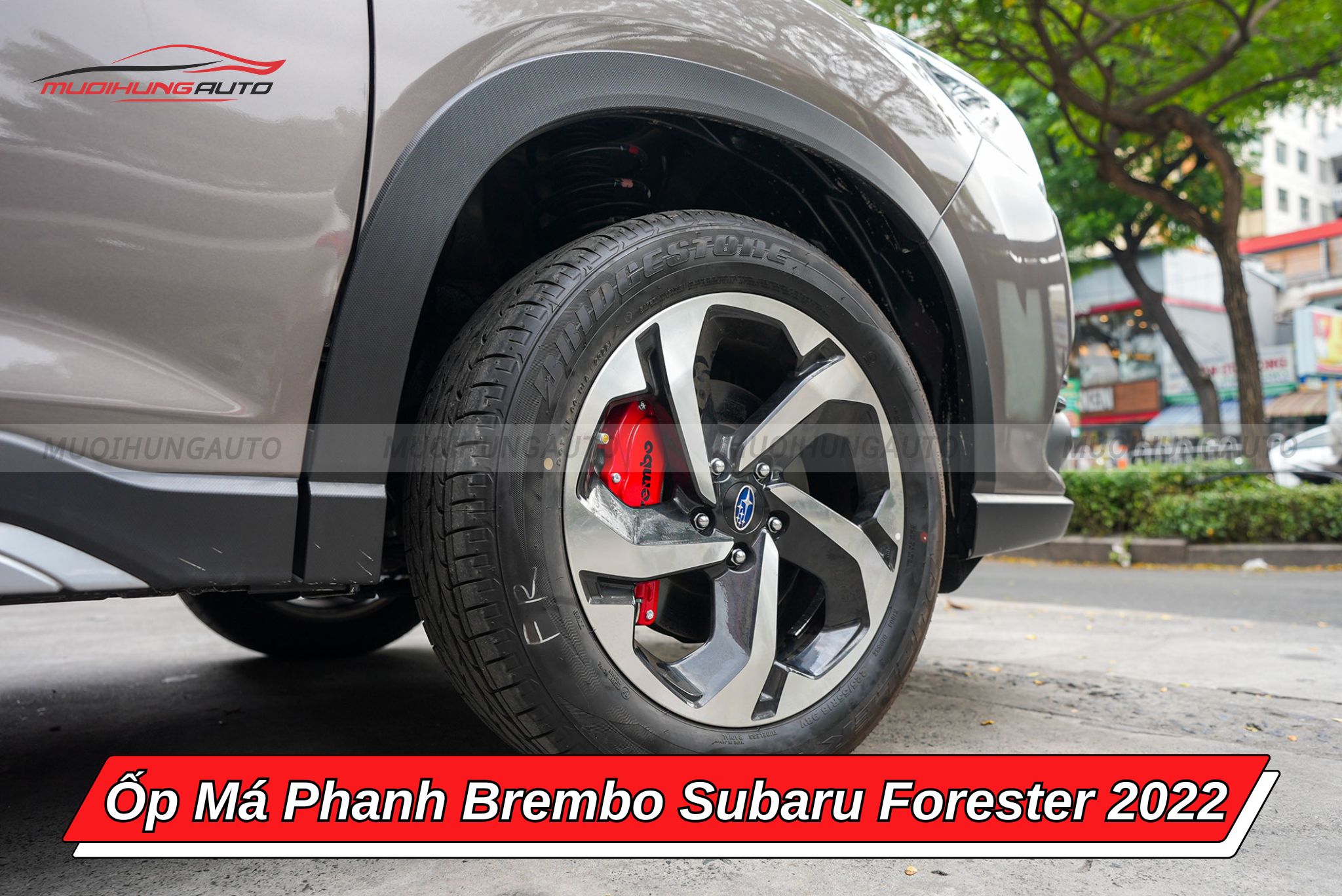 Ốp má phanh Brembo ô tô Subaru Forester 2022