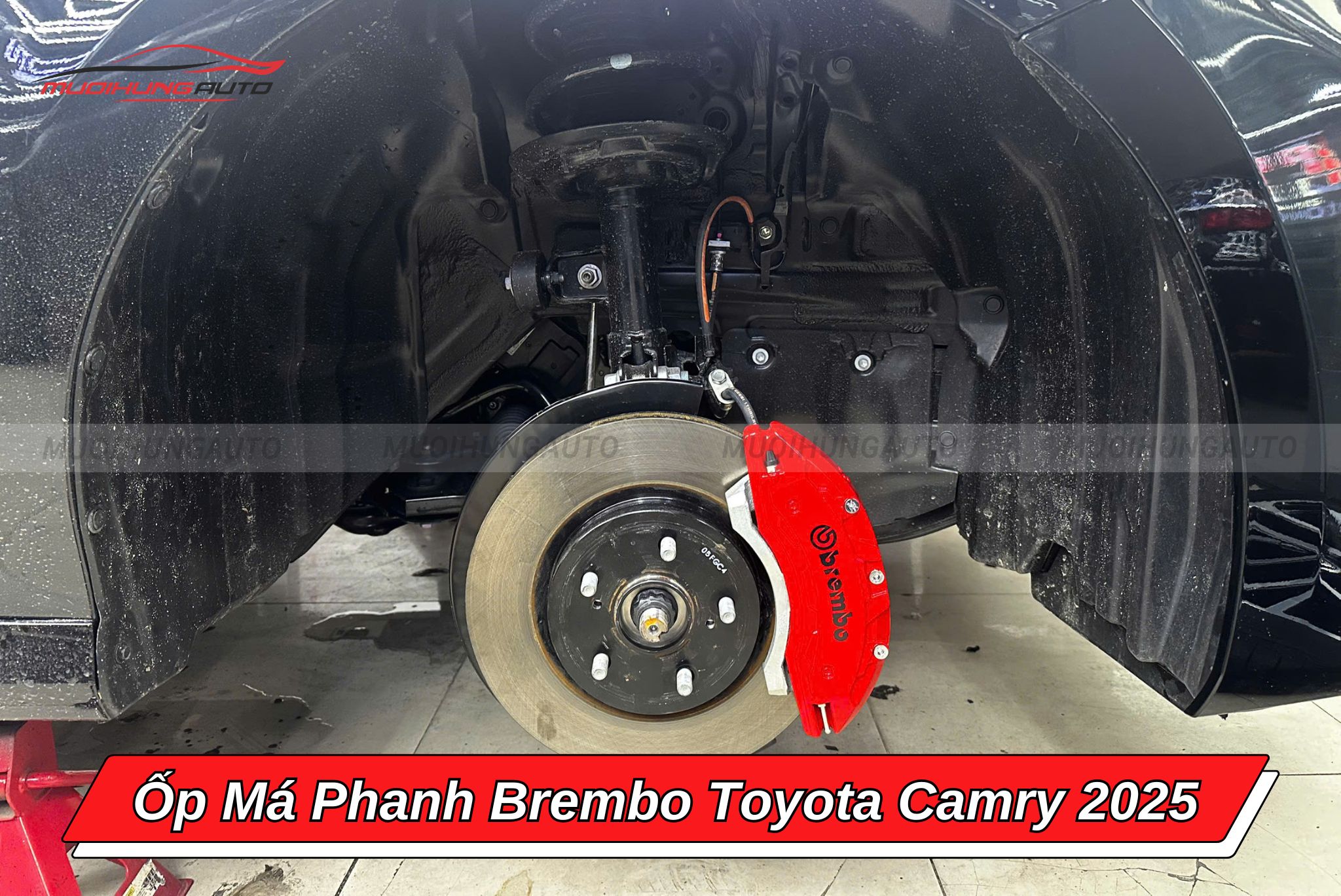 Ốp má phanh Brembo ô tô Toyota Camry 2025