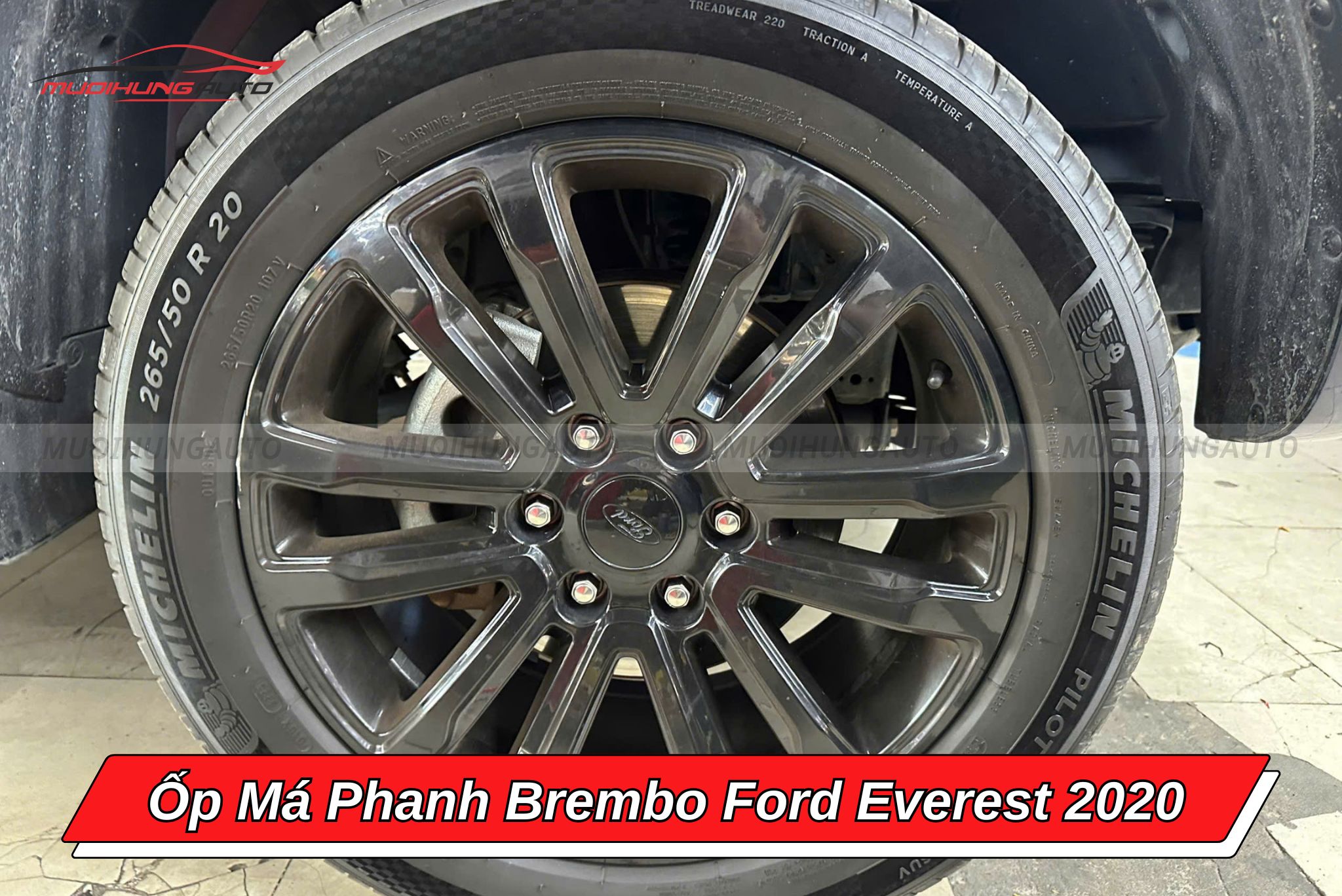 Ốp má phanh Ford Everest 2020