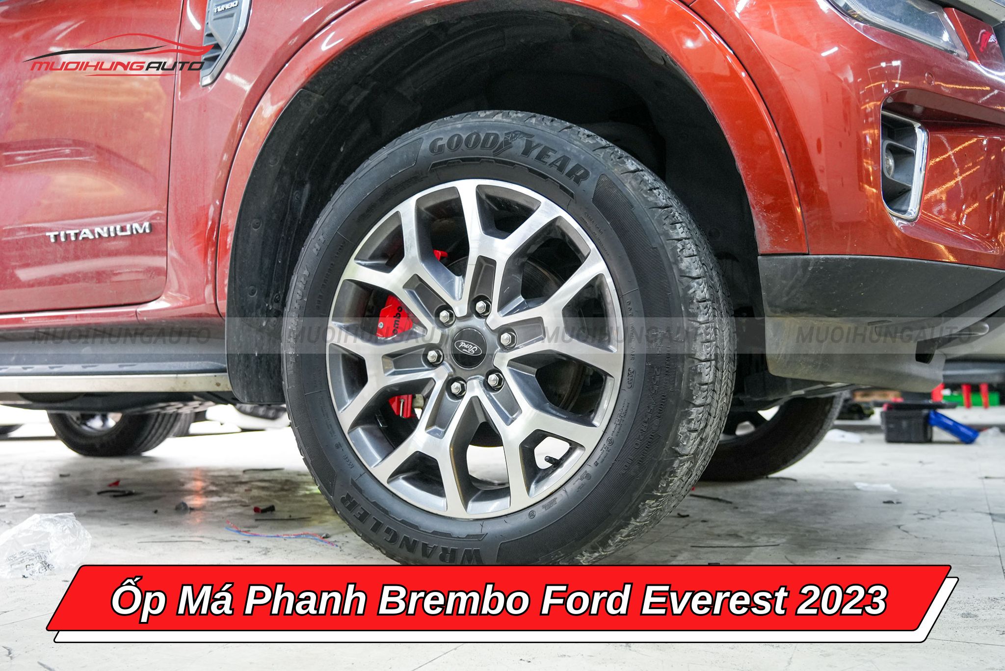 Ốp má phanh Ford Everest 2023