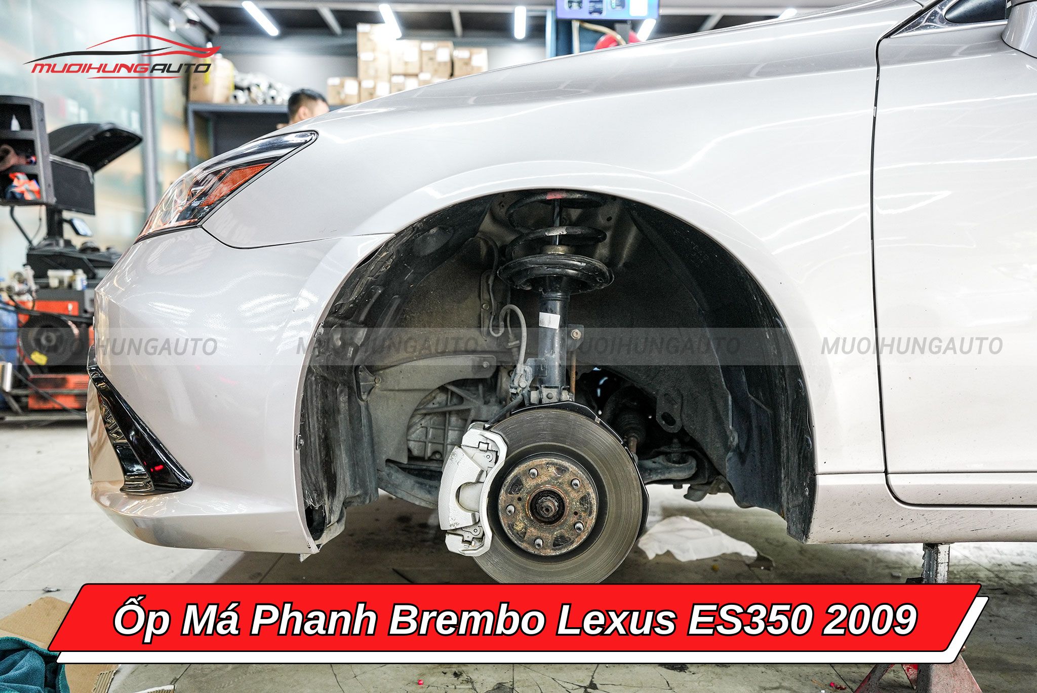 Ốp má phanh Lexus ES350 2009