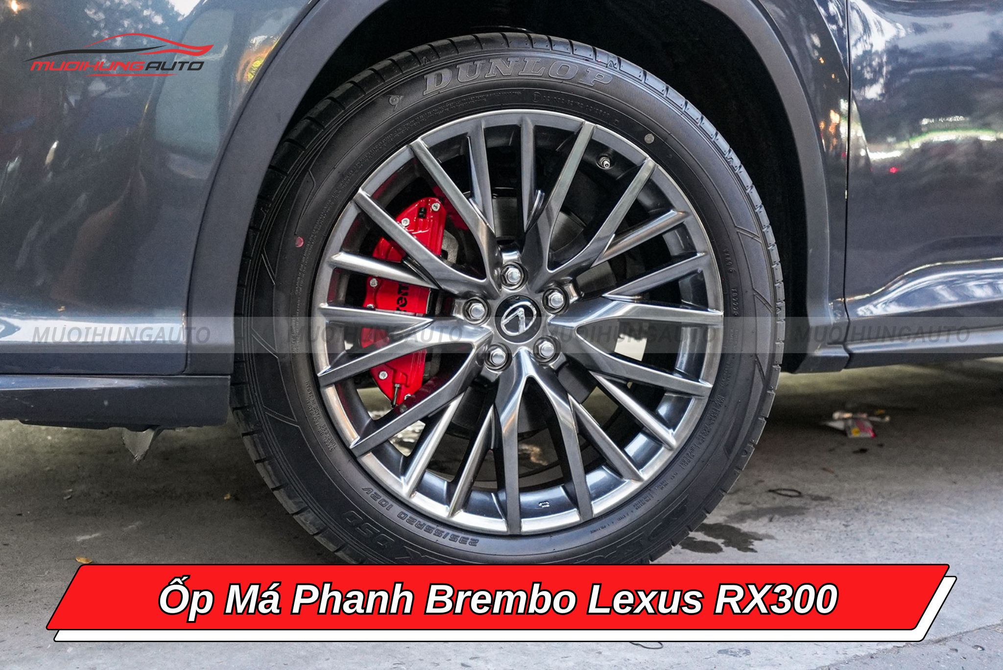 Ốp phanh Brembo cho Lexus RX300