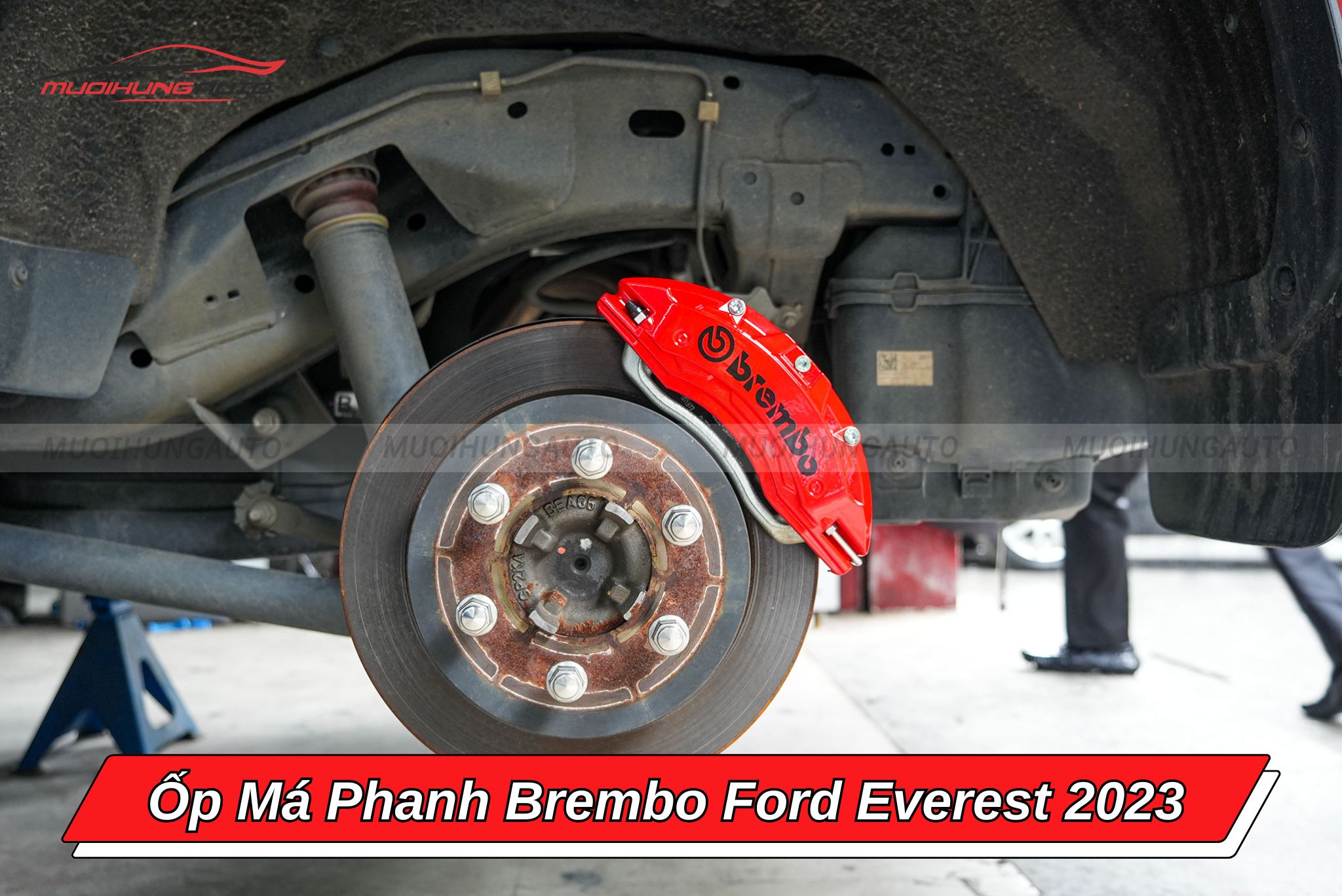 Ốp phanh Ford Everest 2023