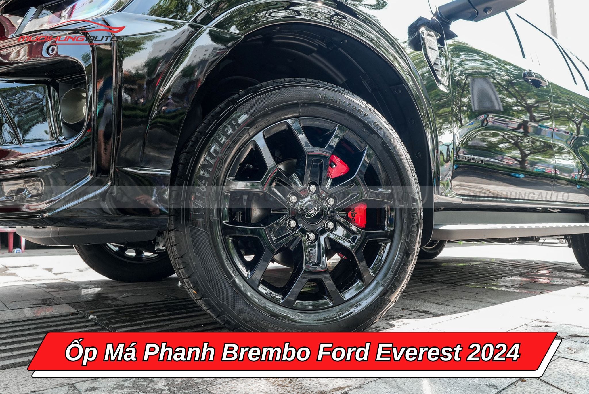 Ốp phanh Brembo Ford Everest 2024