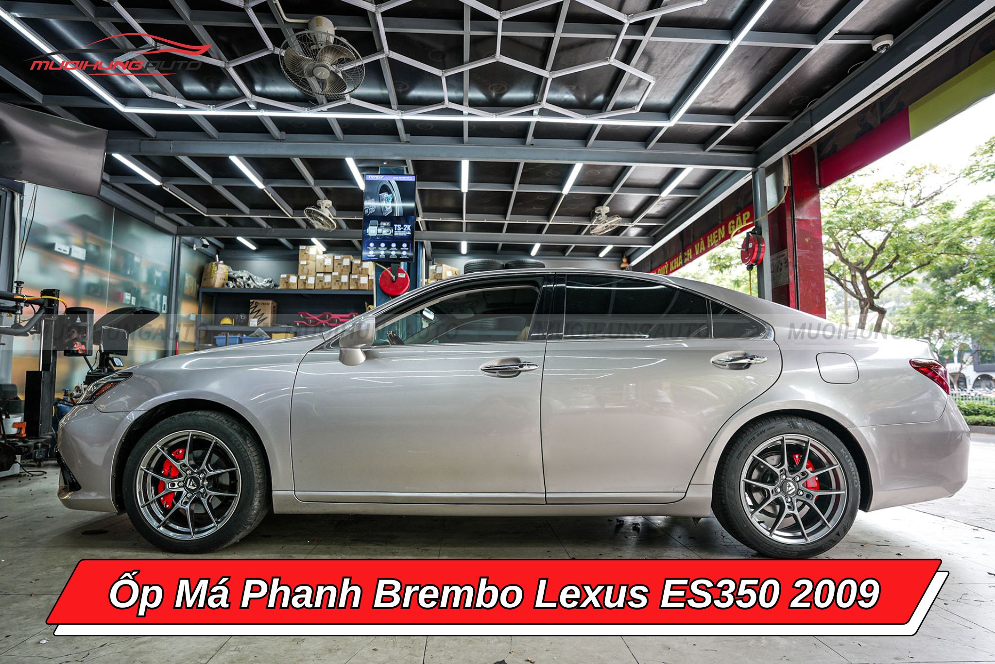 Ốp phanh Brembo Lexus ES350 2009