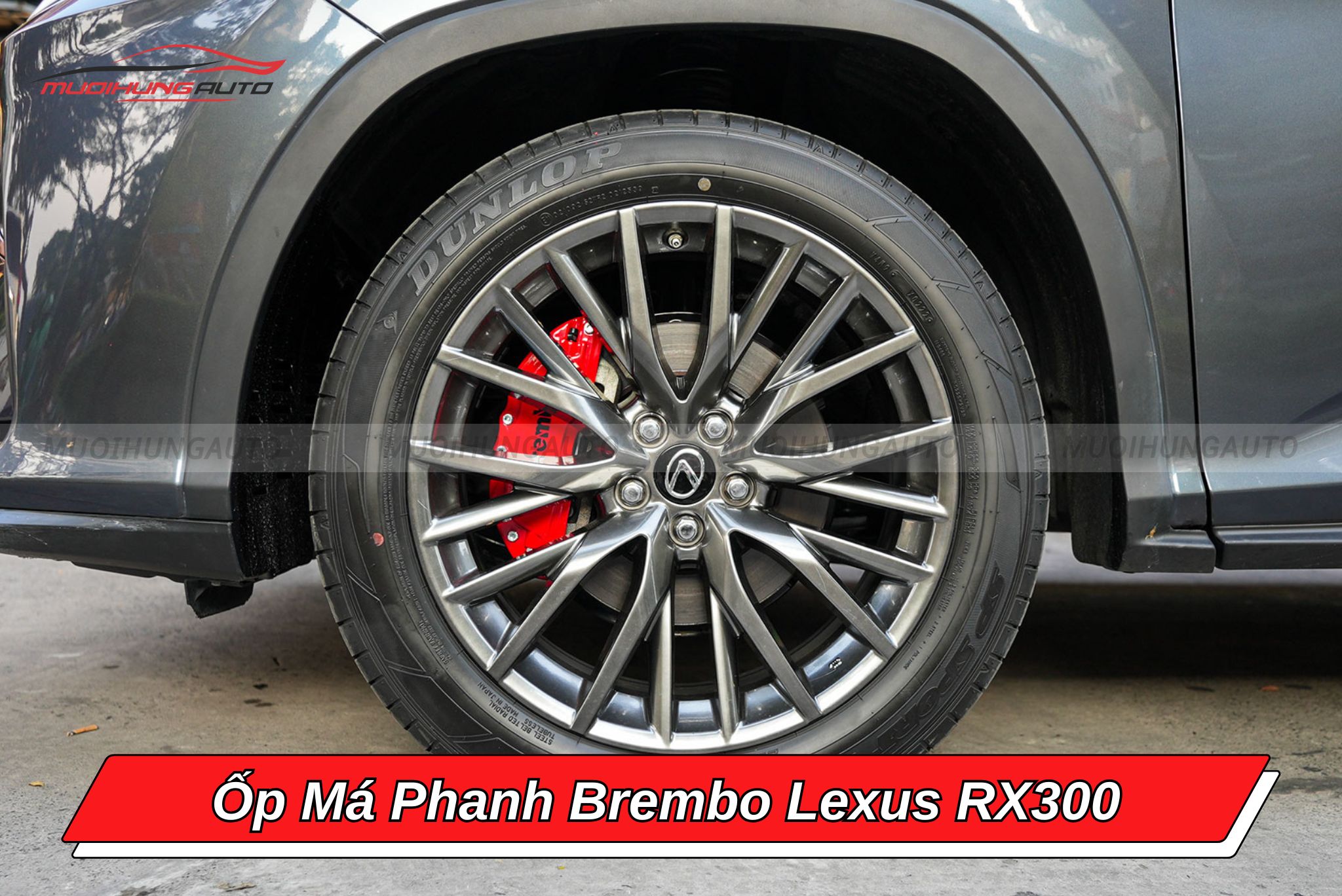 Ốp phanh Brembo ô tô Lexus RX300