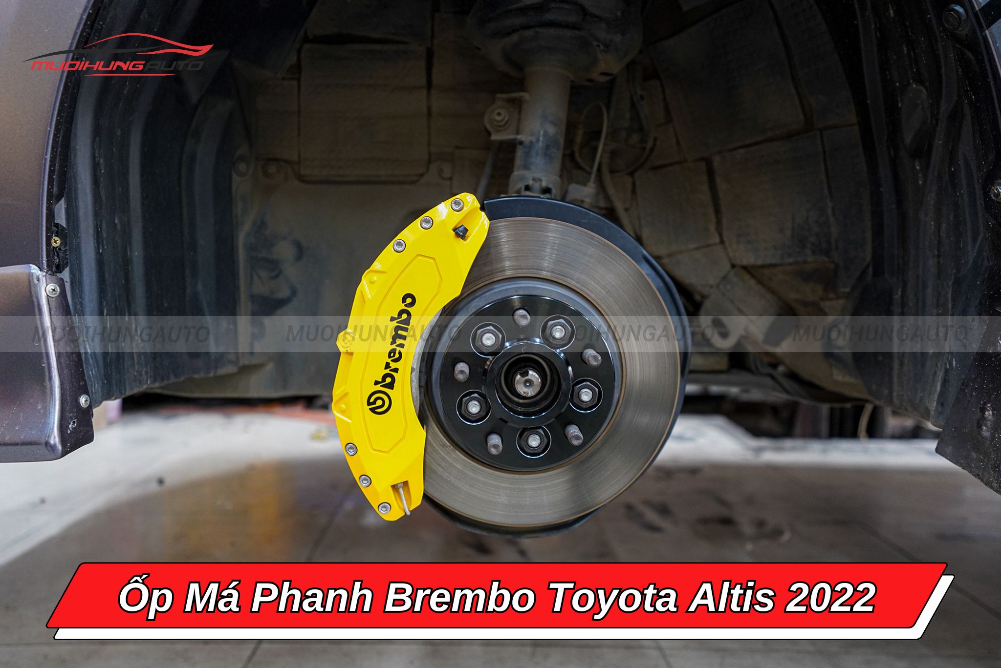 Ốp phanh Brembo Toyota Altis 2022