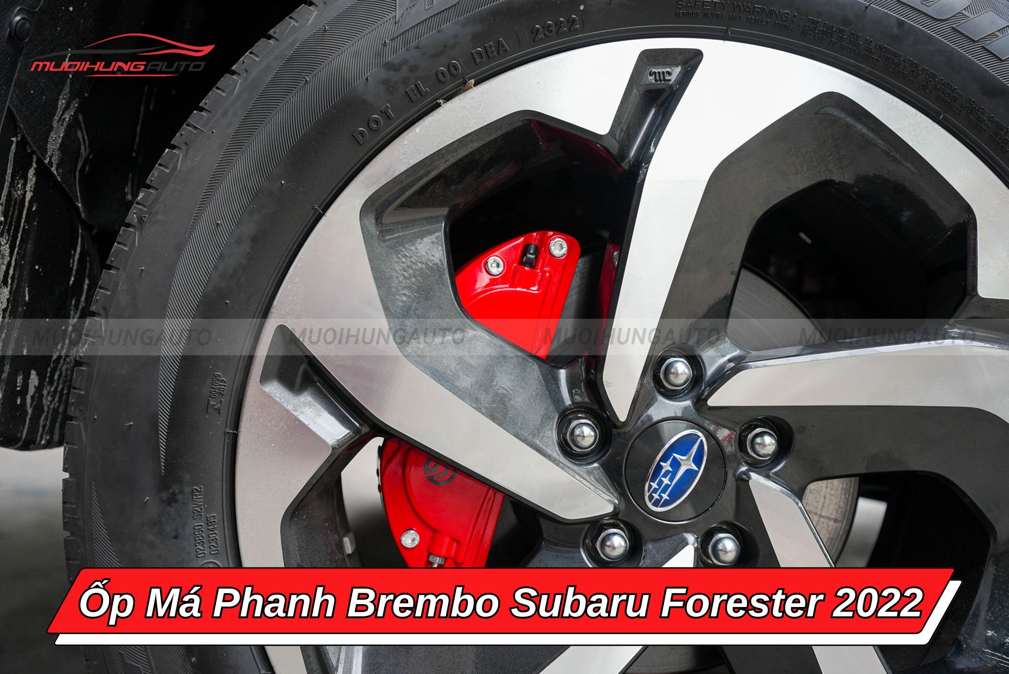 Ốp phanh Brembo xe Subaru Forester 2022