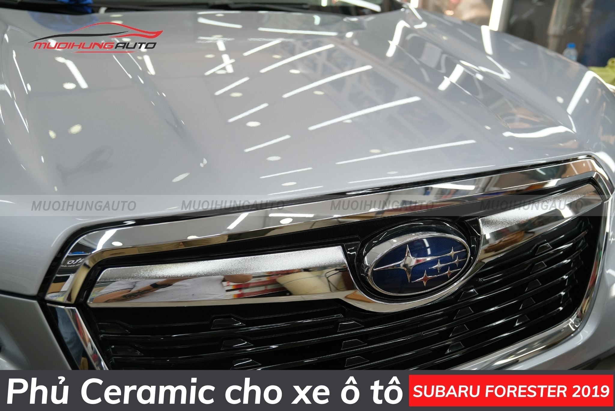 Phủ bóng ô tô Subaru Forester 2019