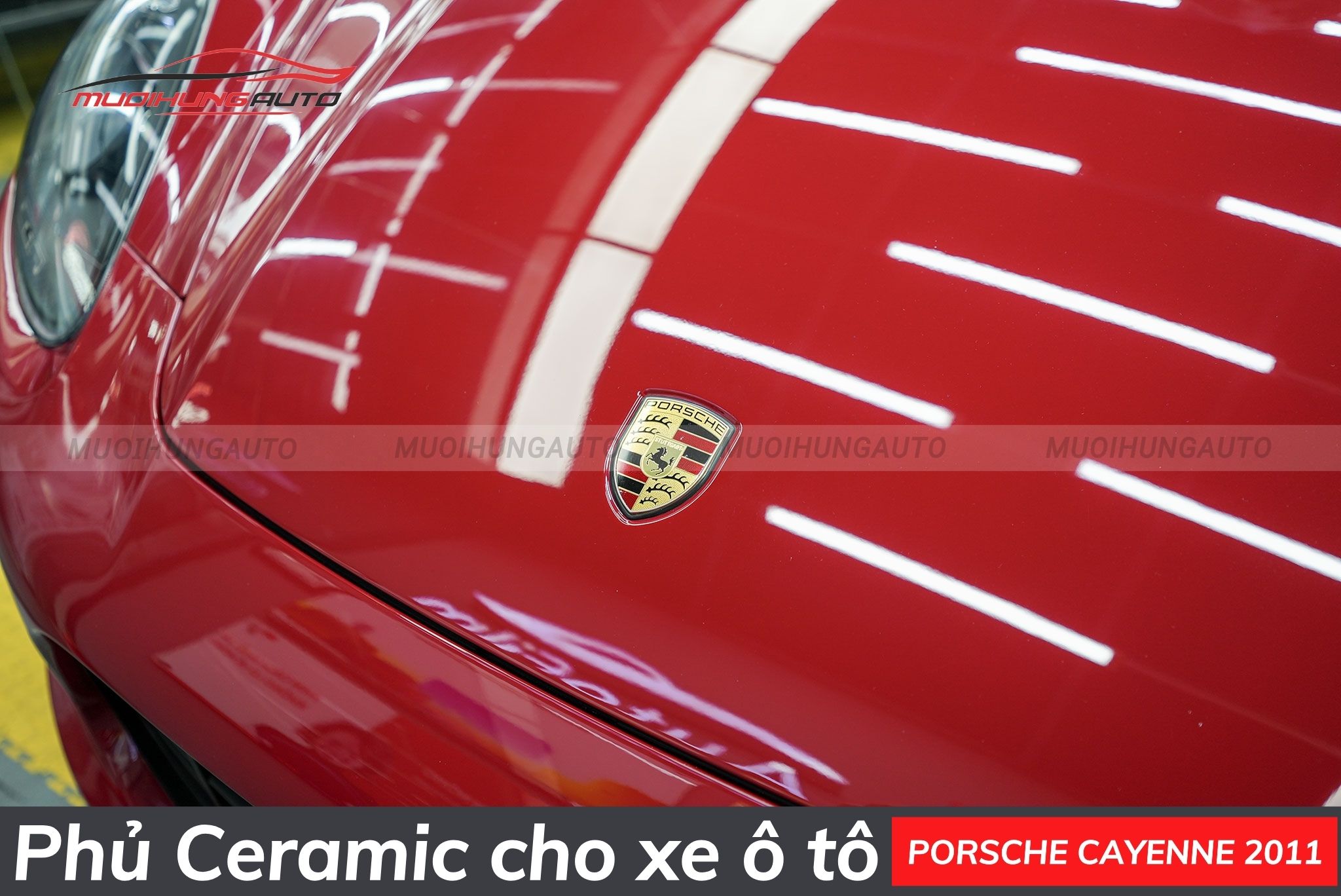 Phủ ceramic cho xe Porsche Cayenne 2011
