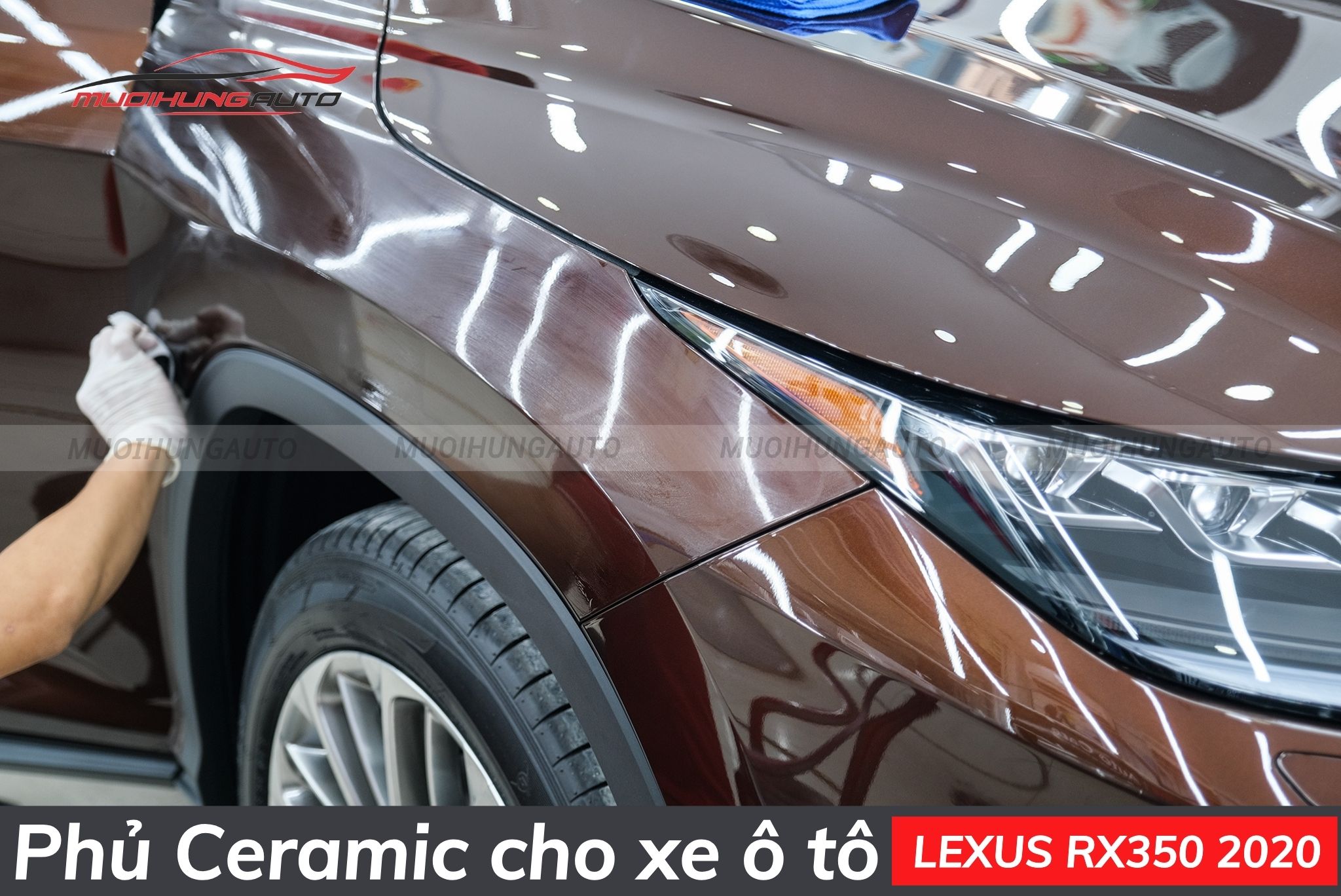 Phủ ceramic Lexus RX350 2020