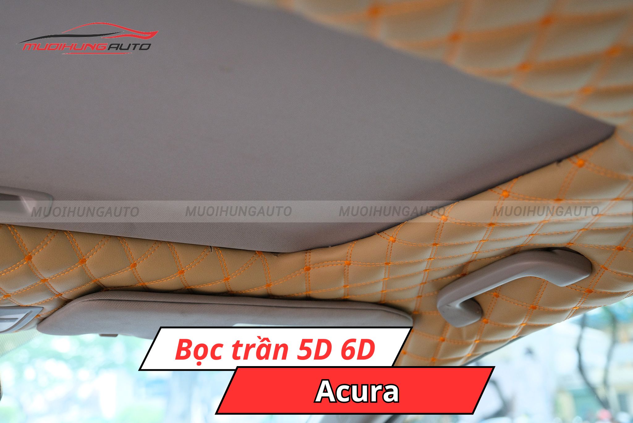 Trần ô tô 5D 6D Acura
