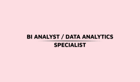 BI ANALYST / DATA ANALYTICS SPECIALIST