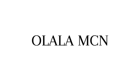 OPERATIONS LEAD