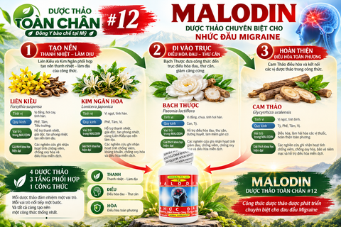 Bệnh Đau Đầu MIGRAINE - Thiên Đầu Thống