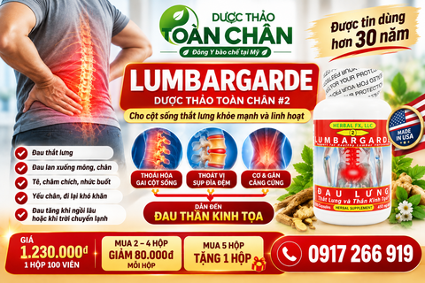Bệnh Đau Thắc Lưng & Thần Kinh Tọa