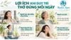 Vai trò của thở đúng kỹ thuật trong dưỡng sinh và chăm sóc sức khỏe