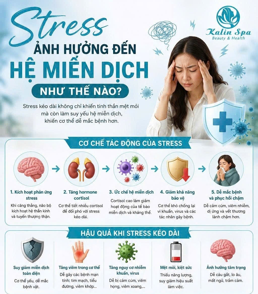 Cách quản lý căng thẳng để không làm suy giảm hệ miễn dịch