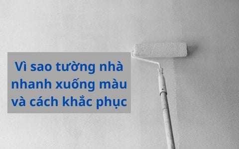 Vì sao tường nhà nhanh xuống màu và cách khắc phục