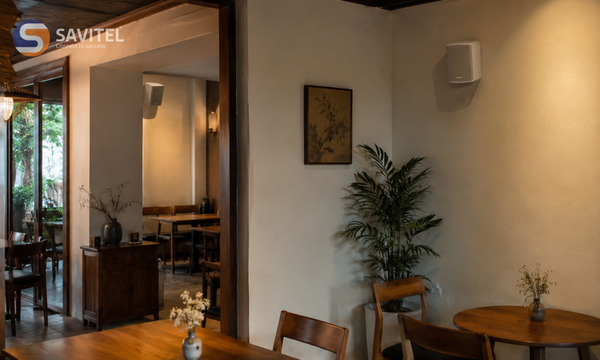 Top 6 mẫu loa Bose cho quán cafe được ưa chuộng hiện nay